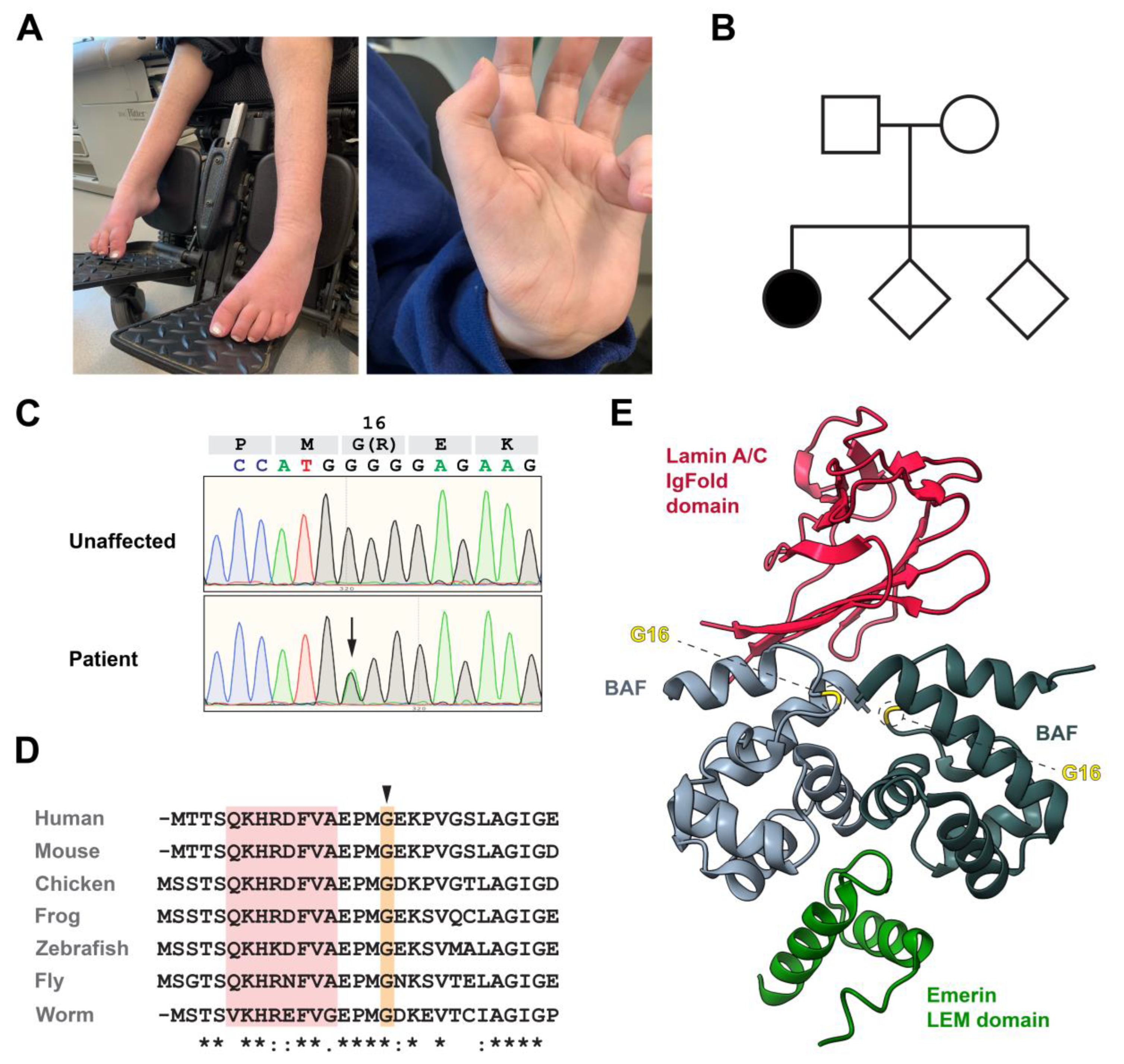 Cells 12 00847 g001 Cells 12 00847 g001