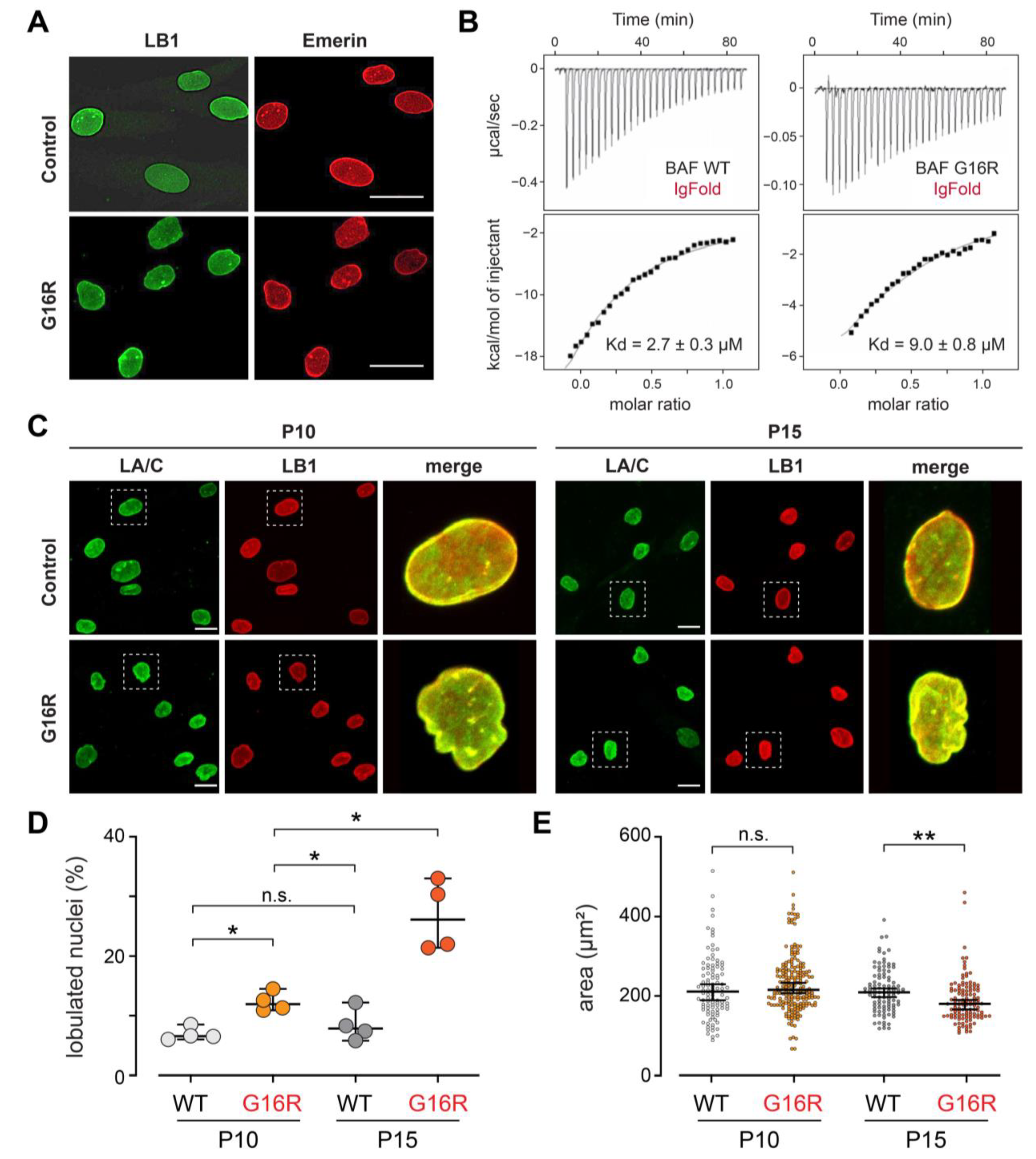 Cells 12 00847 g002 Cells 12 00847 g002
