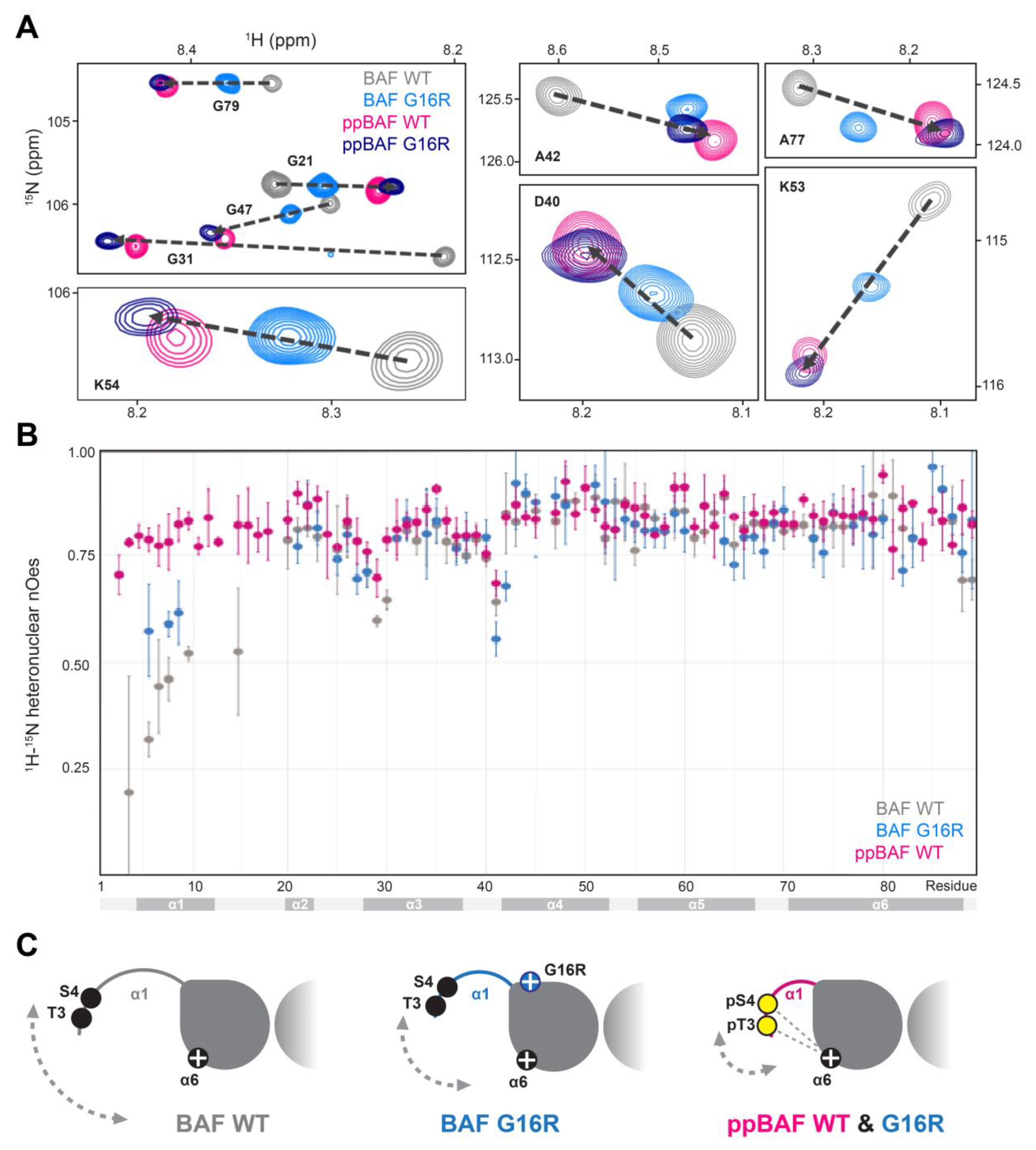 Cells 12 00847 g003 Cells 12 00847 g003
