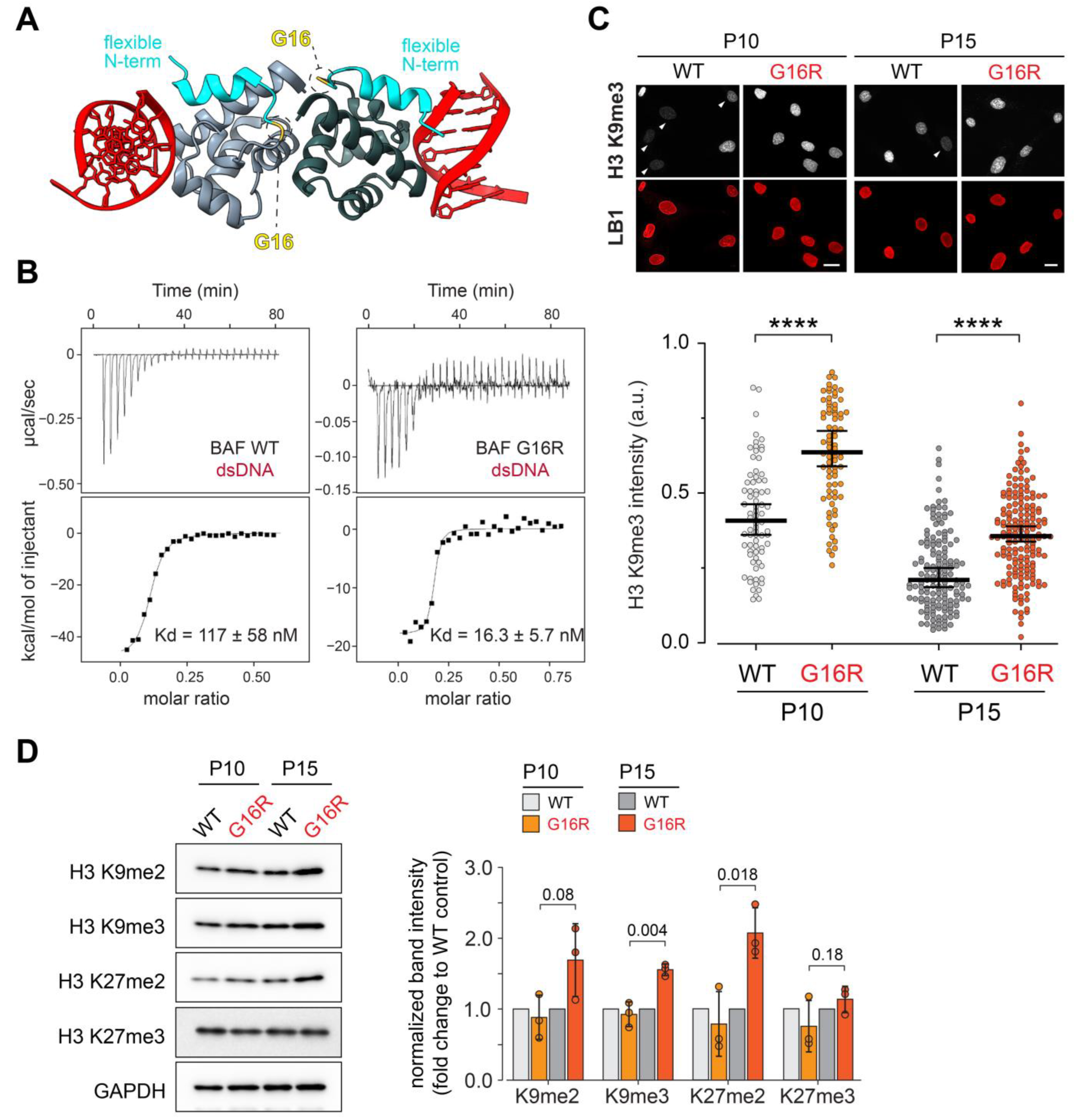 Cells 12 00847 g005 Cells 12 00847 g005