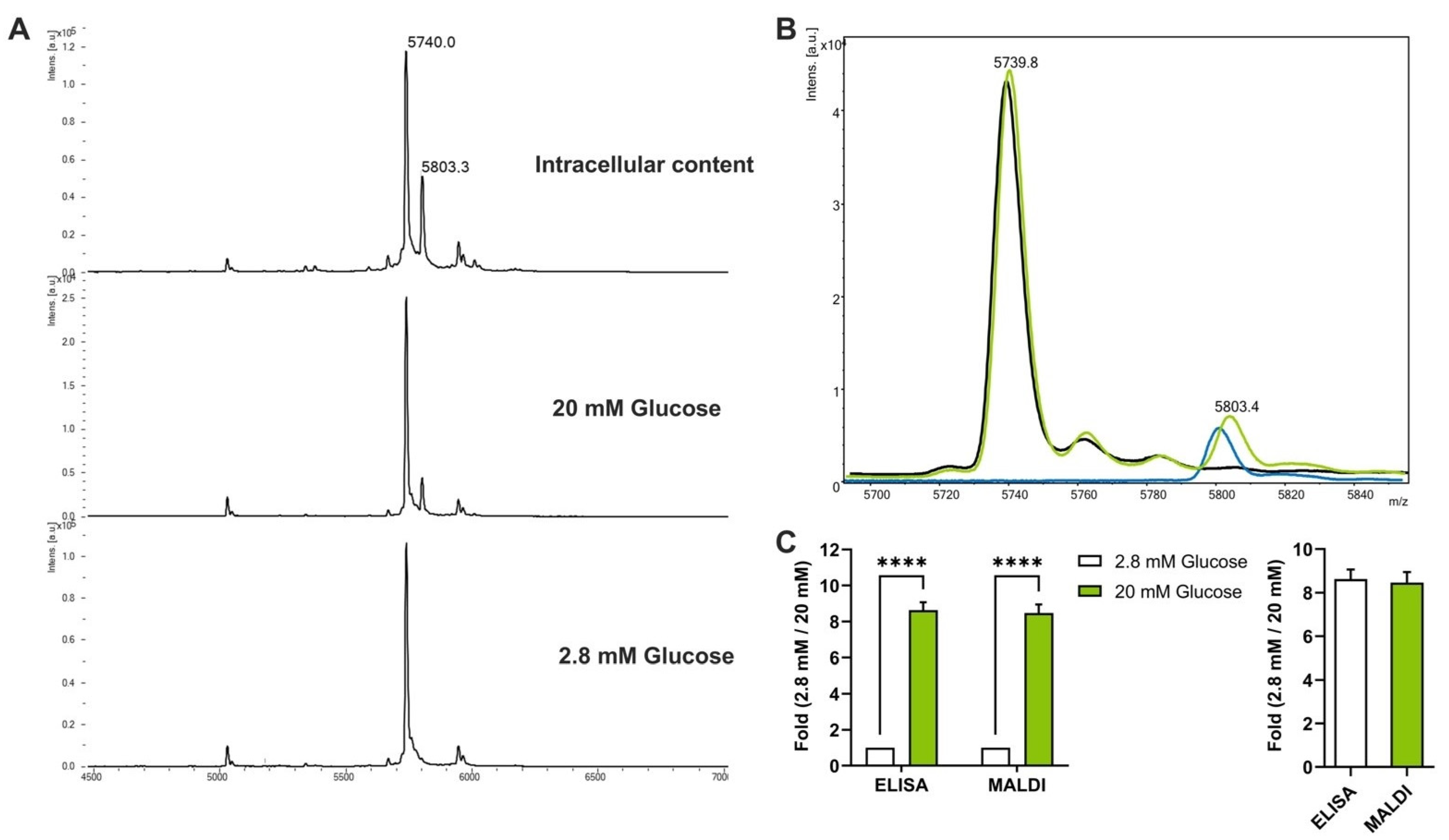 Cells 12 00849 g002 Cells 12 00849 g002