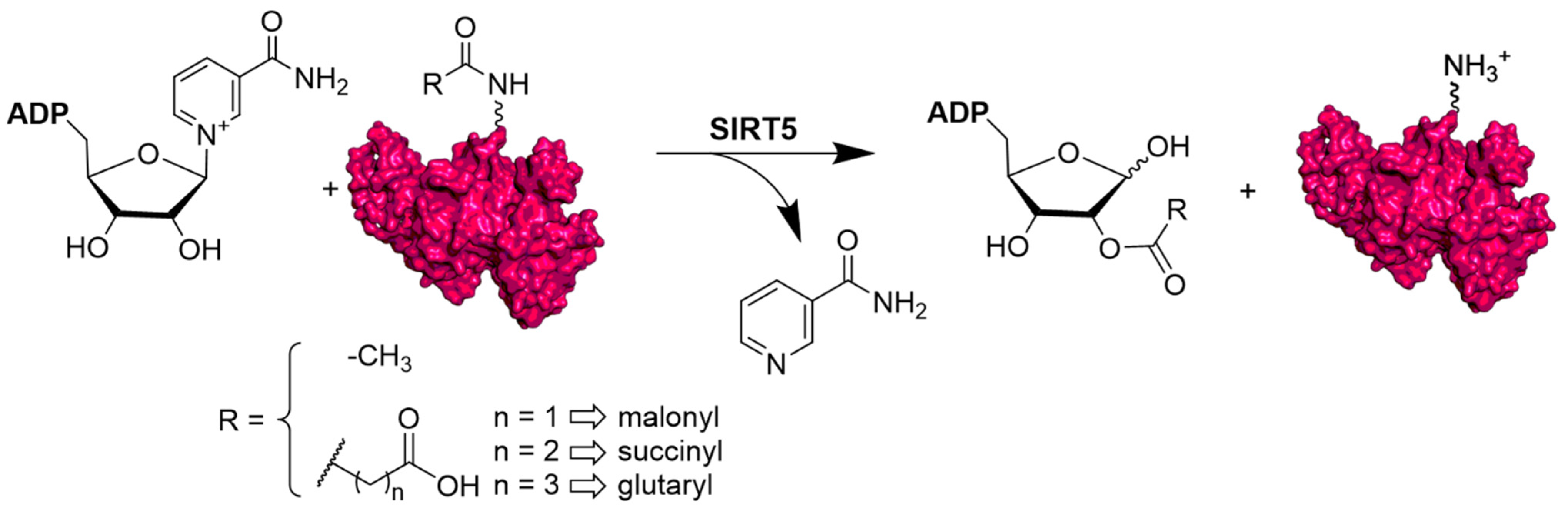 Cells 12 00852 g001 Cells 12 00852 g001