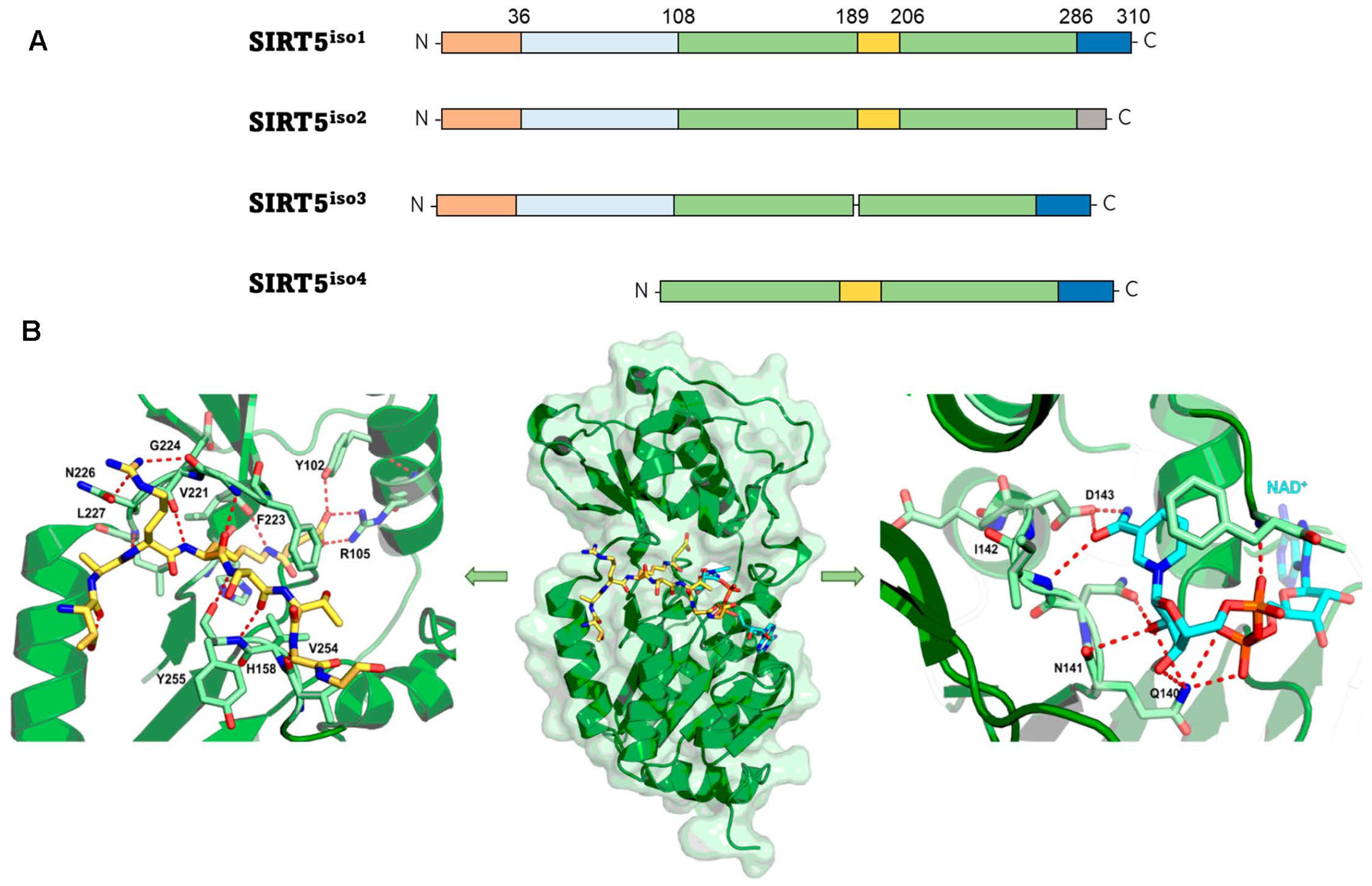 Cells 12 00852 g002 Cells 12 00852 g002