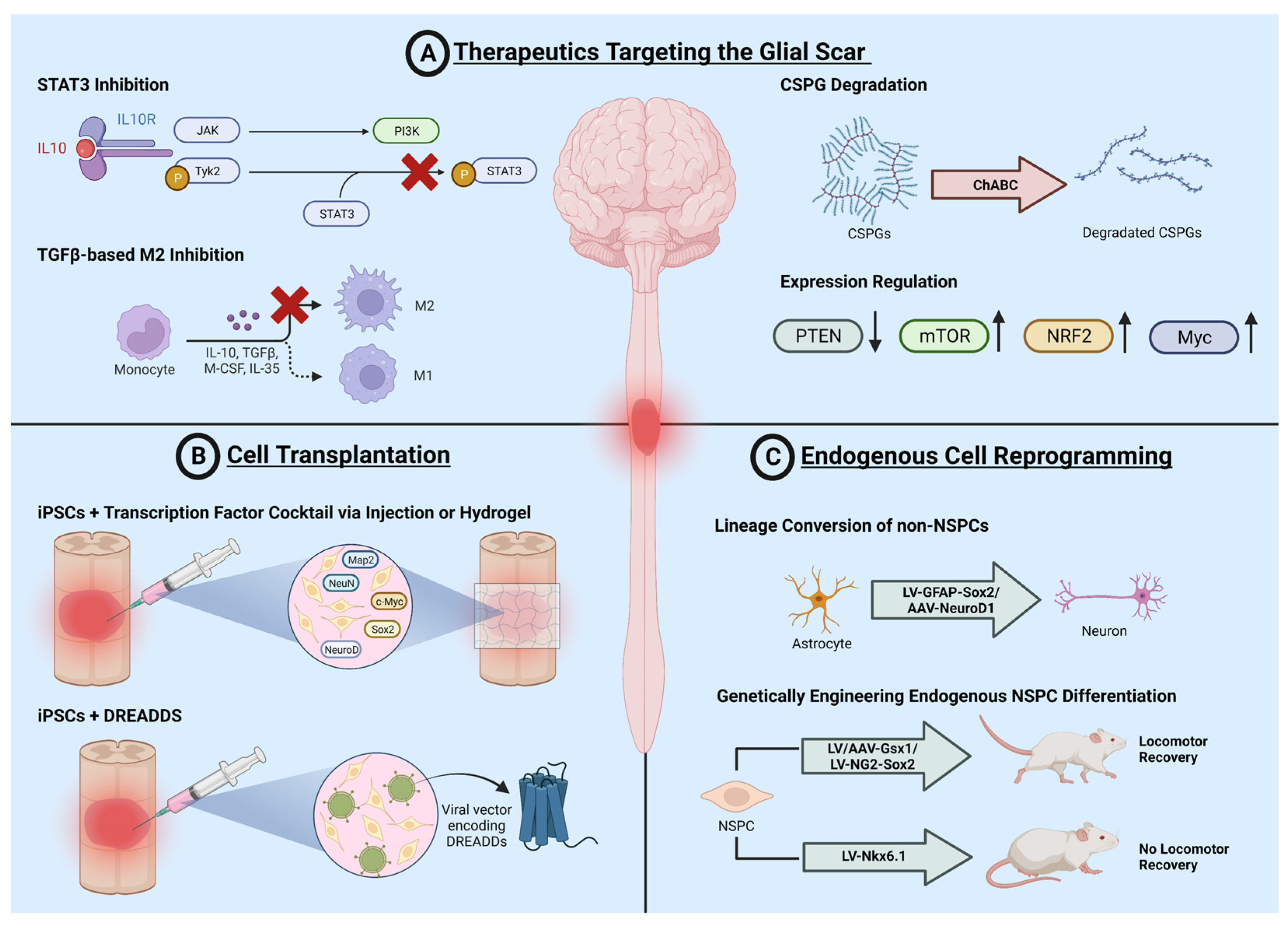 Cells 12 00853 g002 Cells 12 00853 g002