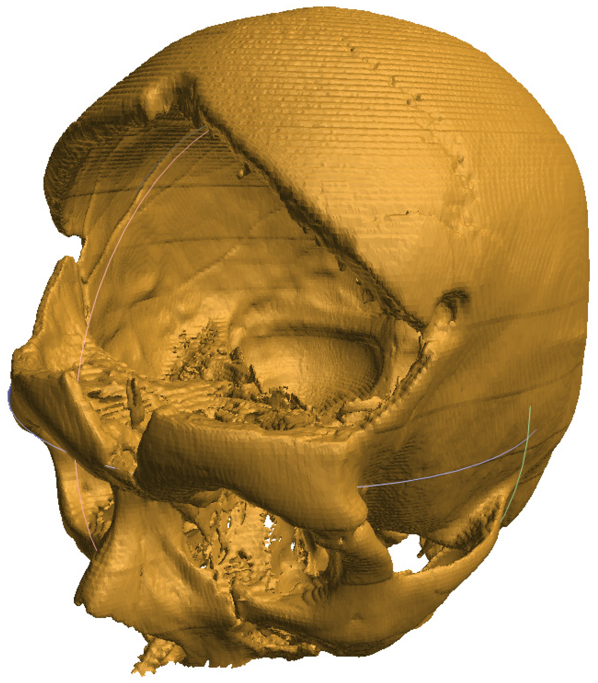 Cells 12 00859 g003 Cells 12 00859 g003