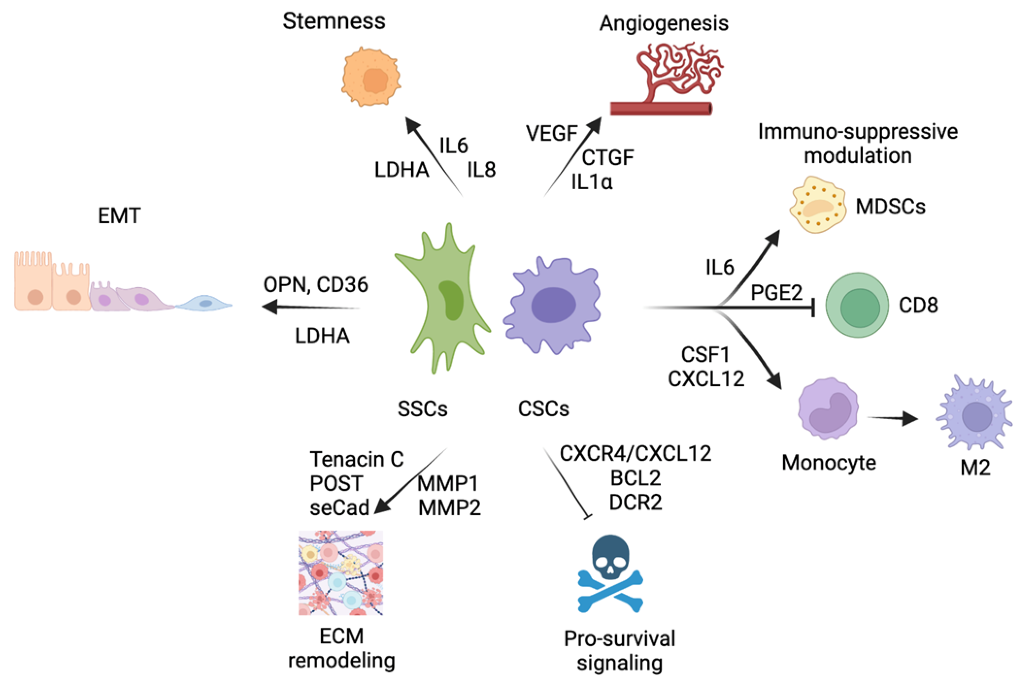Cells 12 00860 g002 Cells 12 00860 g002