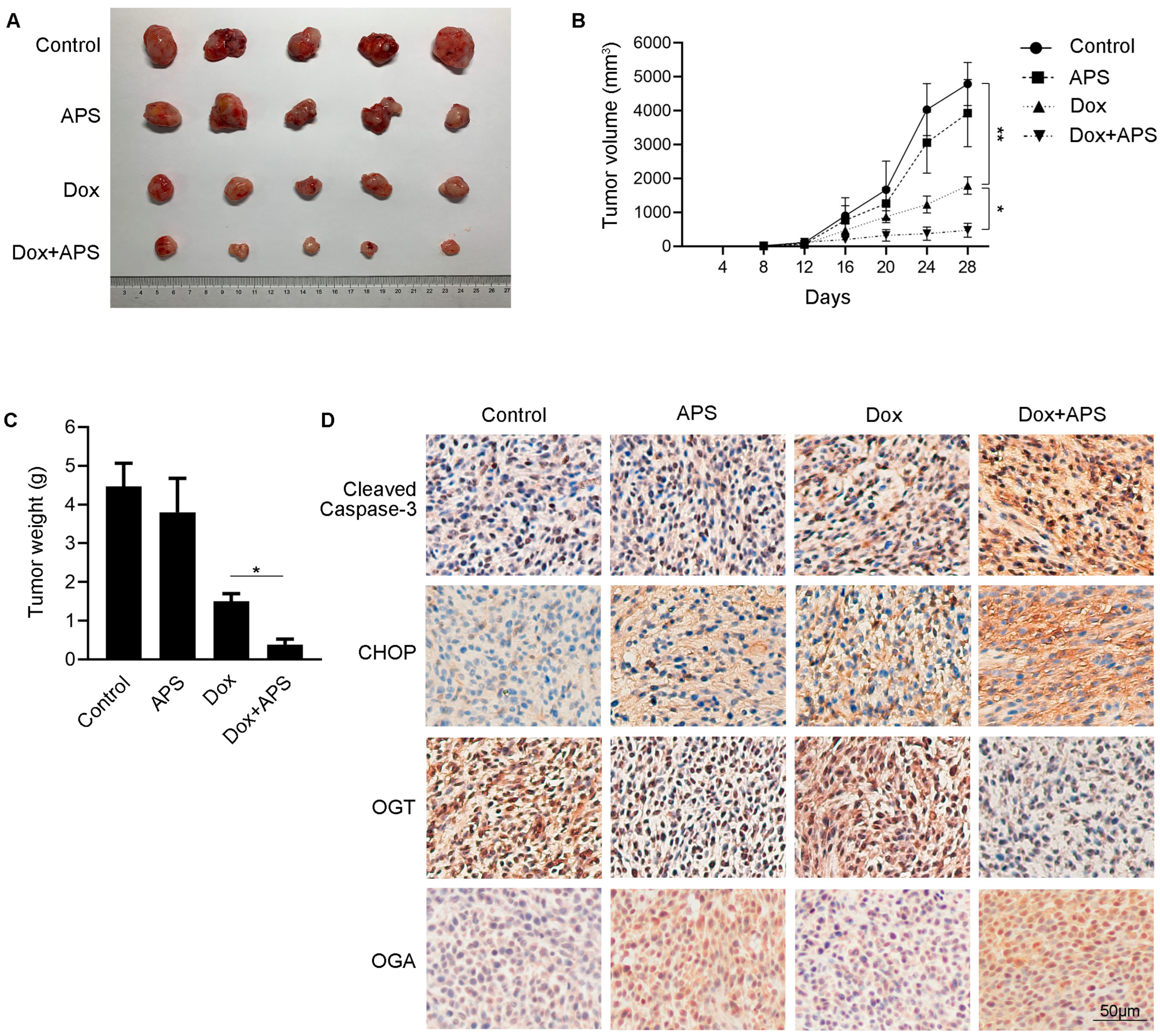 Cells 12 00866 g006 Cells 12 00866 g006