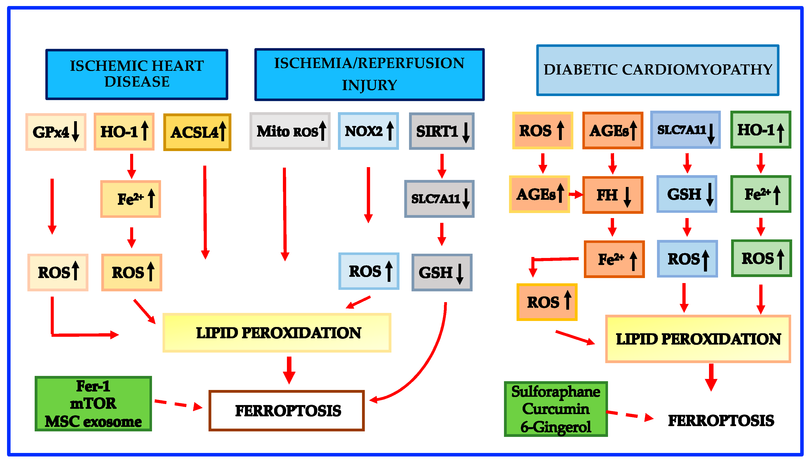 Cells 12 00867 g002 Cells 12 00867 g002