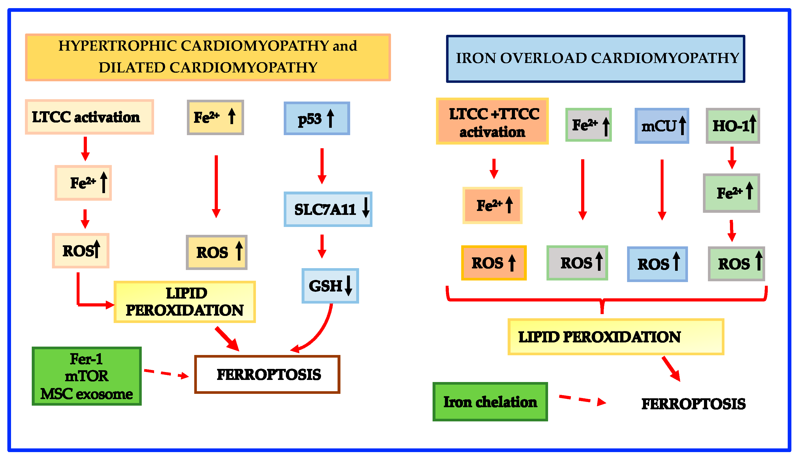 Cells 12 00867 g003 Cells 12 00867 g003