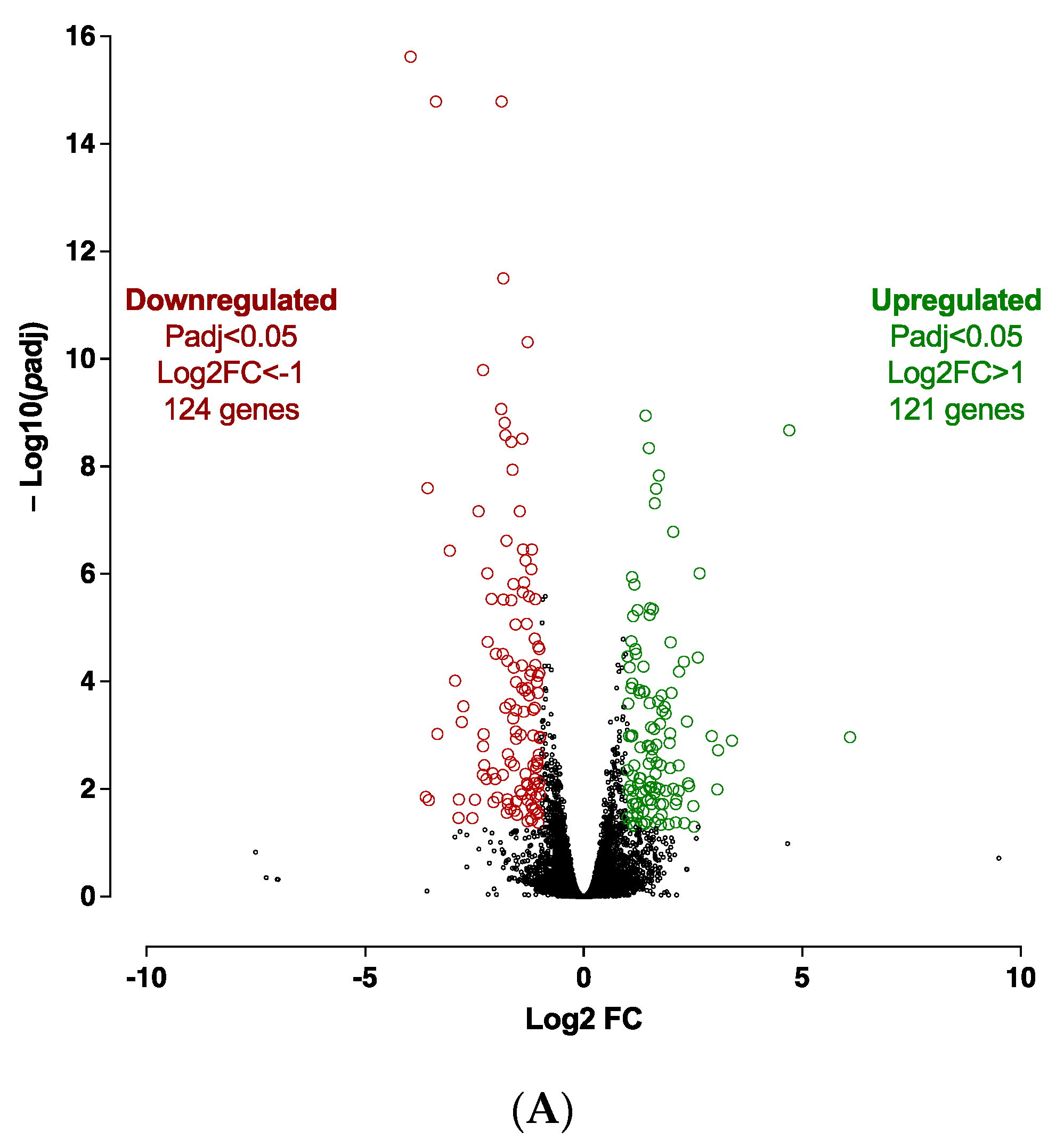 Cells 12 00870 g005a