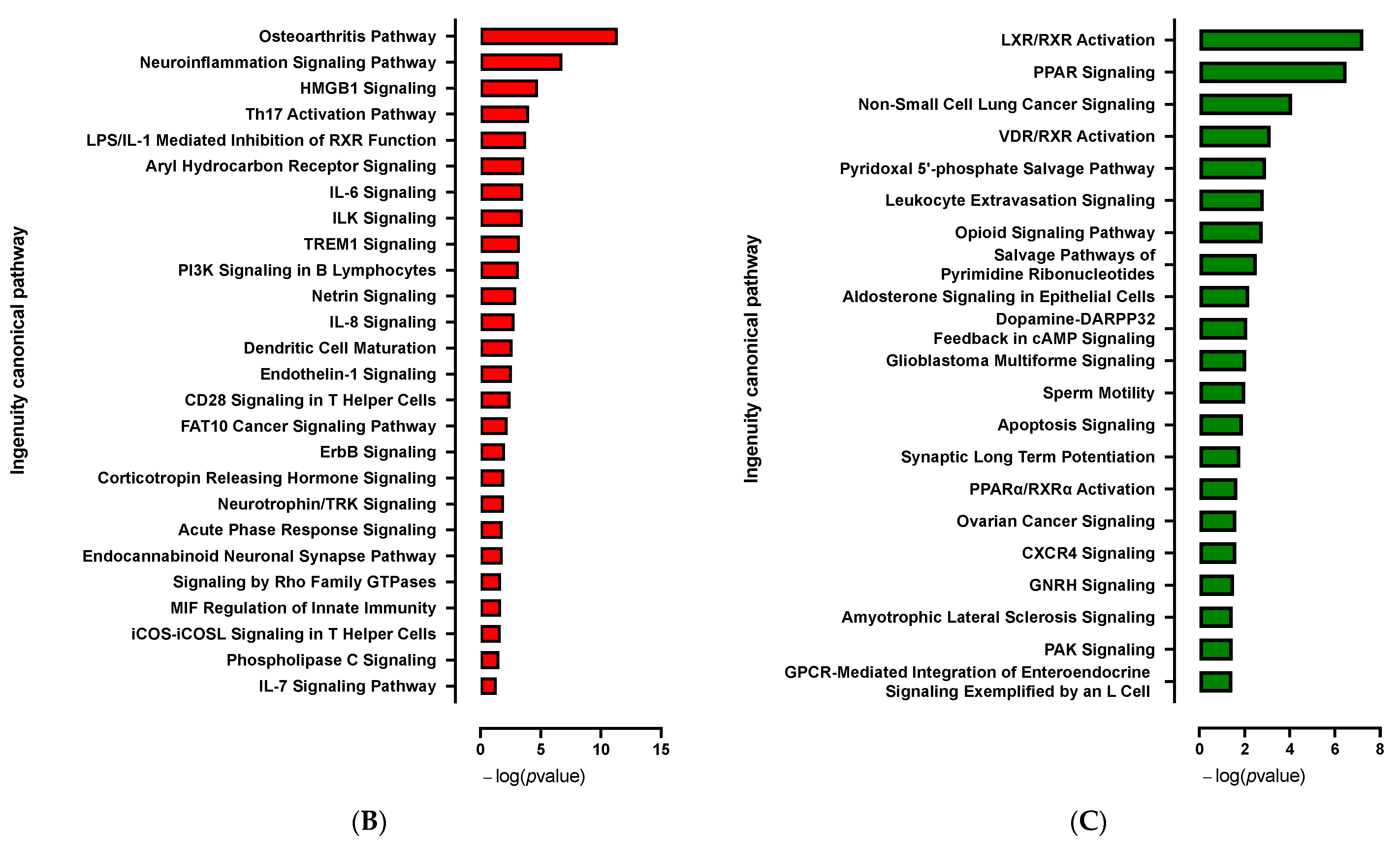 Cells 12 00870 g005b
