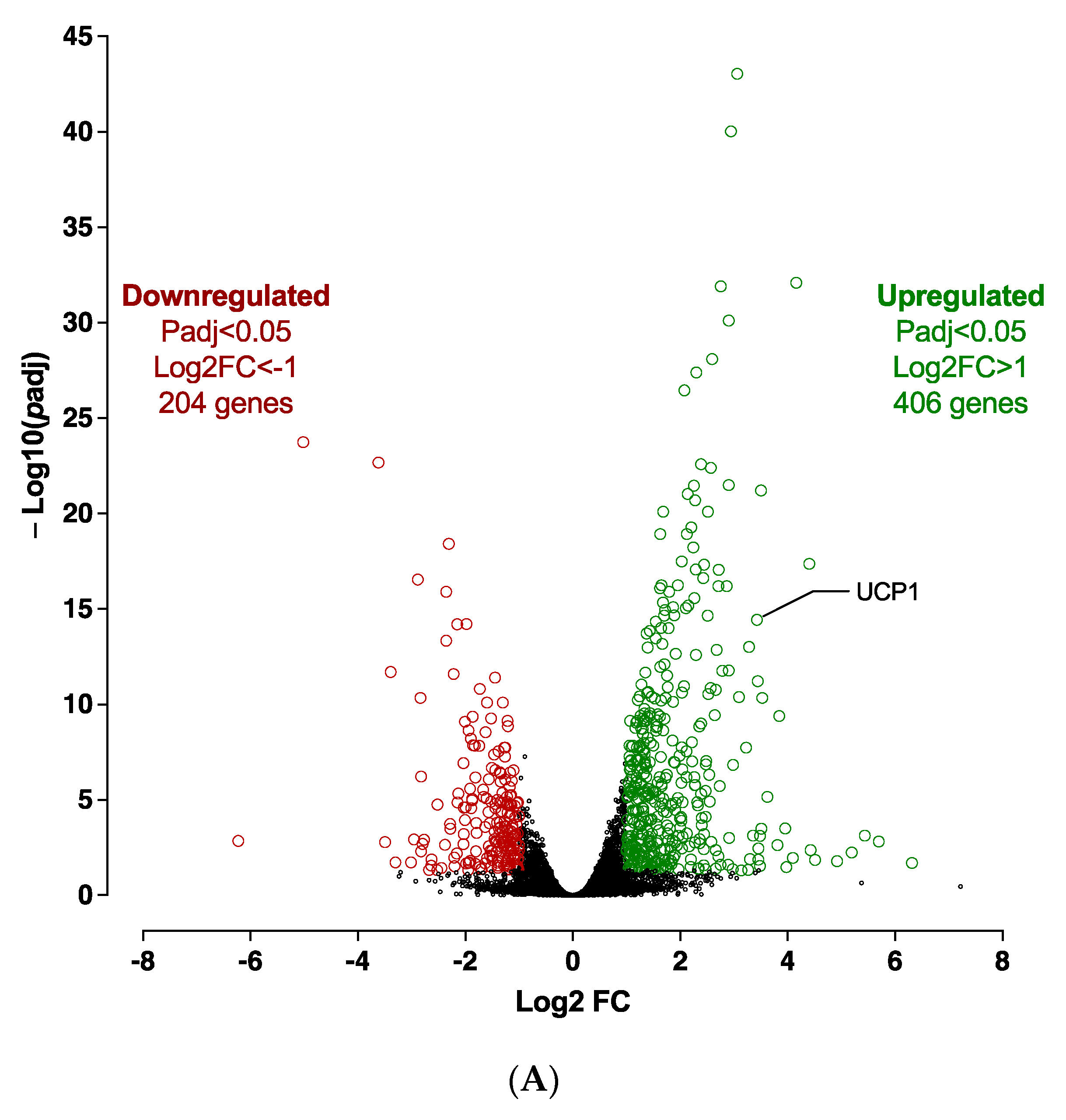 Cells 12 00870 g008a