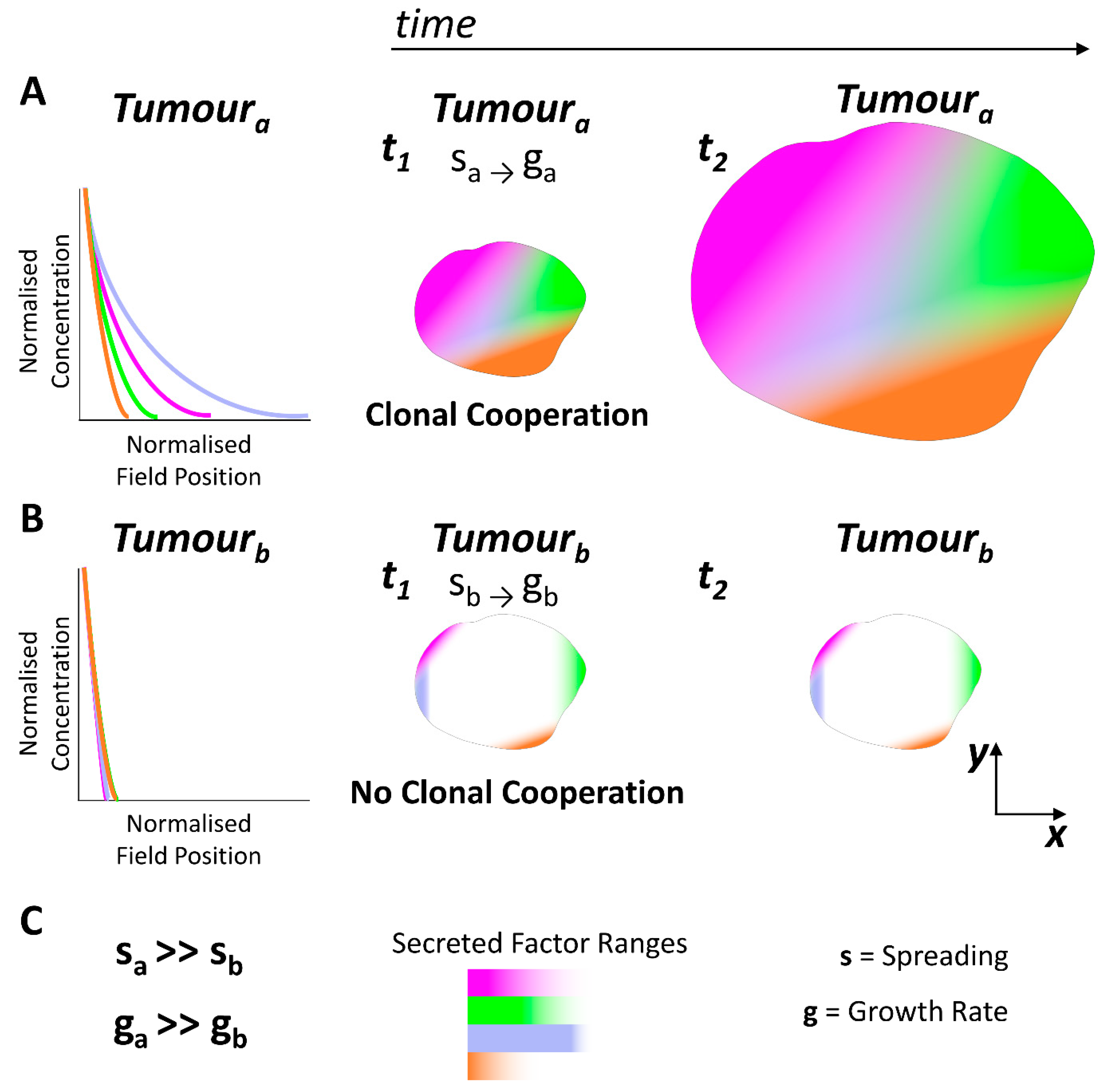 Cells 12 00872 g003 Cells 12 00872 g003
