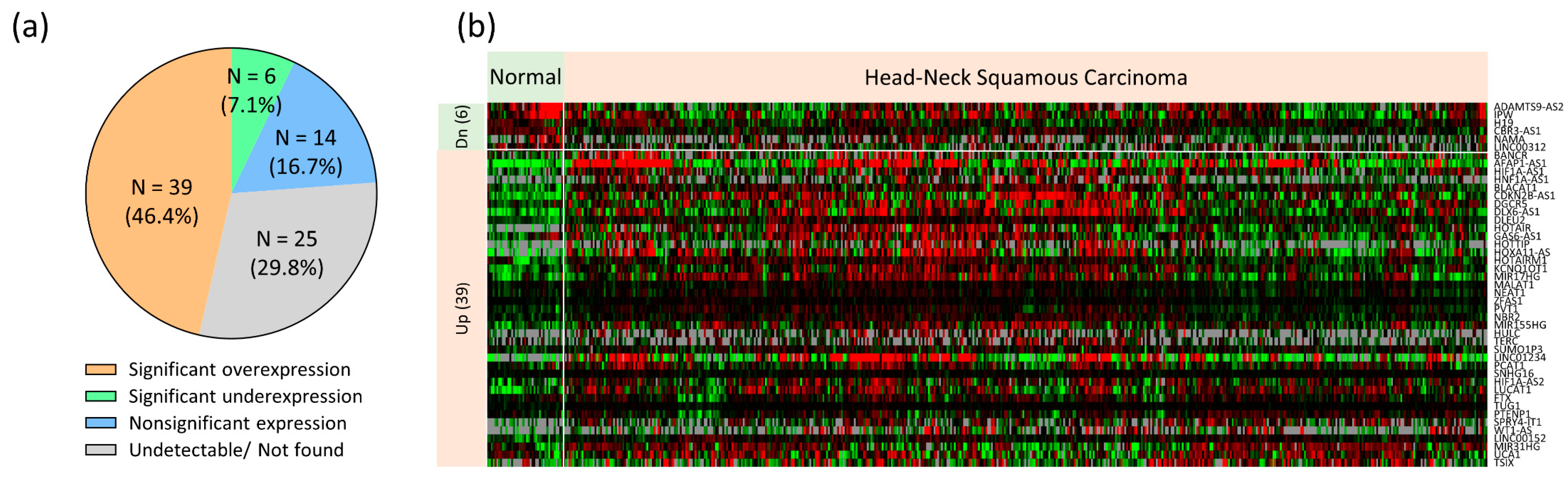 Cells 12 00873 g002a