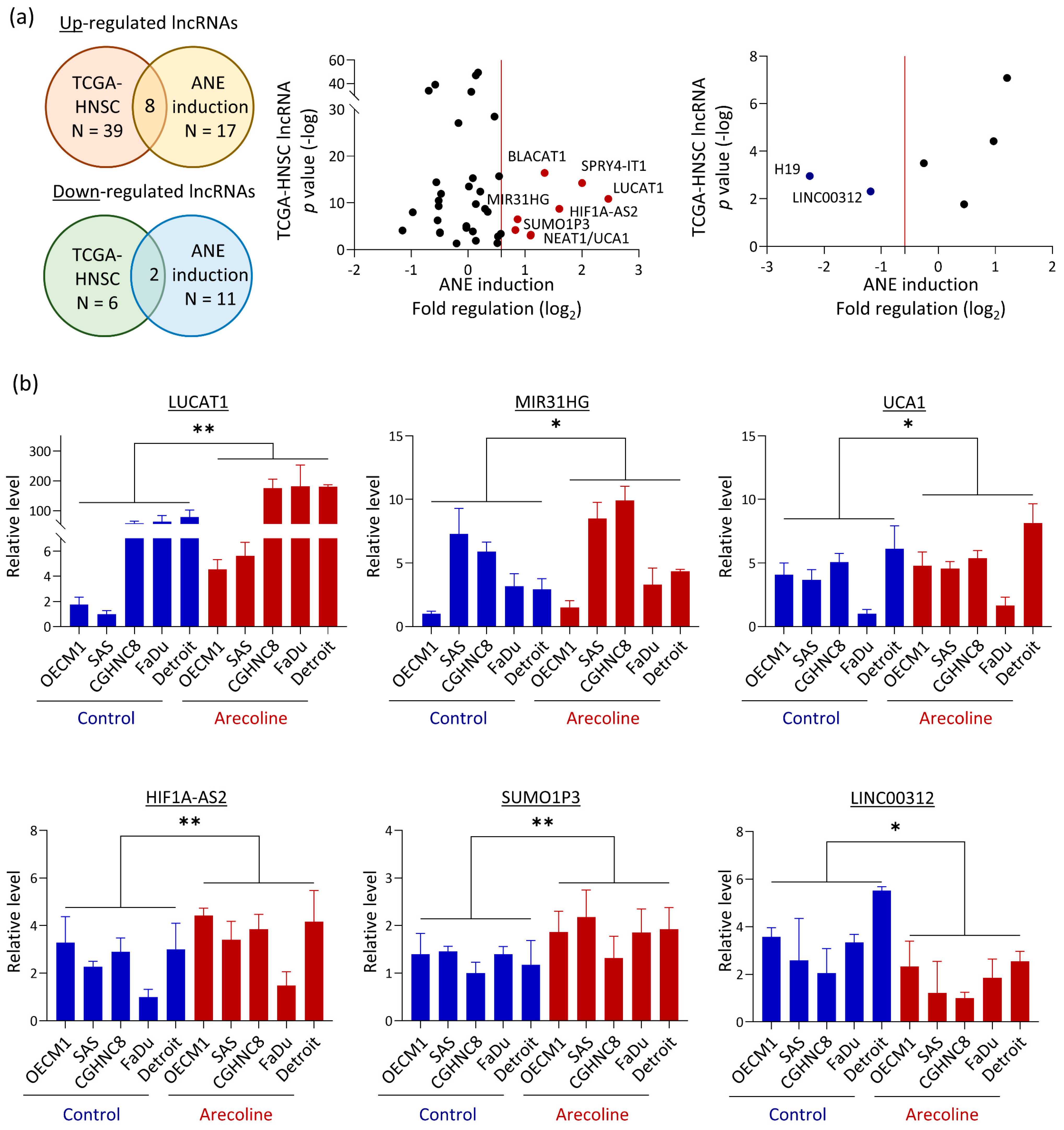 Cells 12 00873 g003a