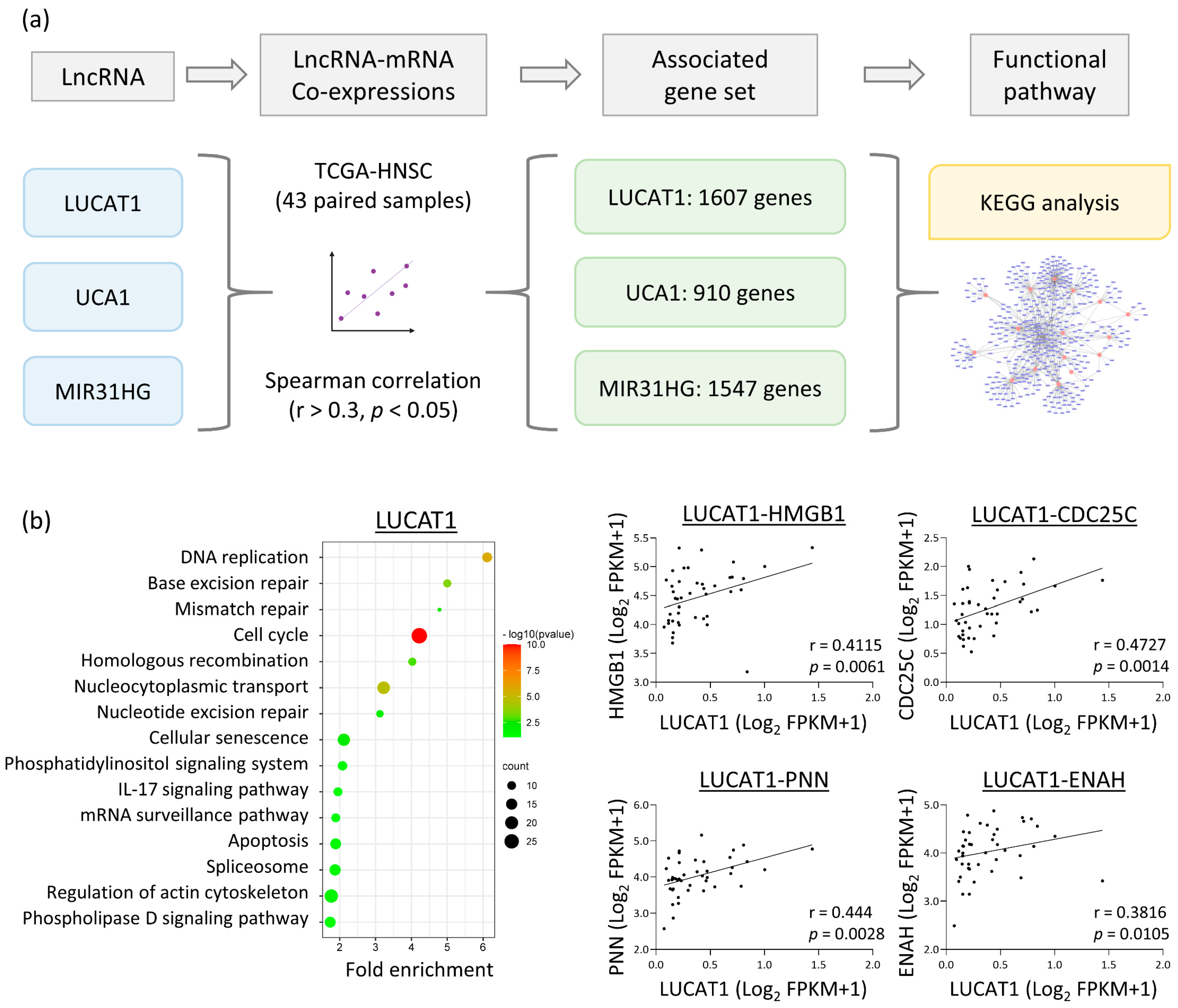 Cells 12 00873 g004a