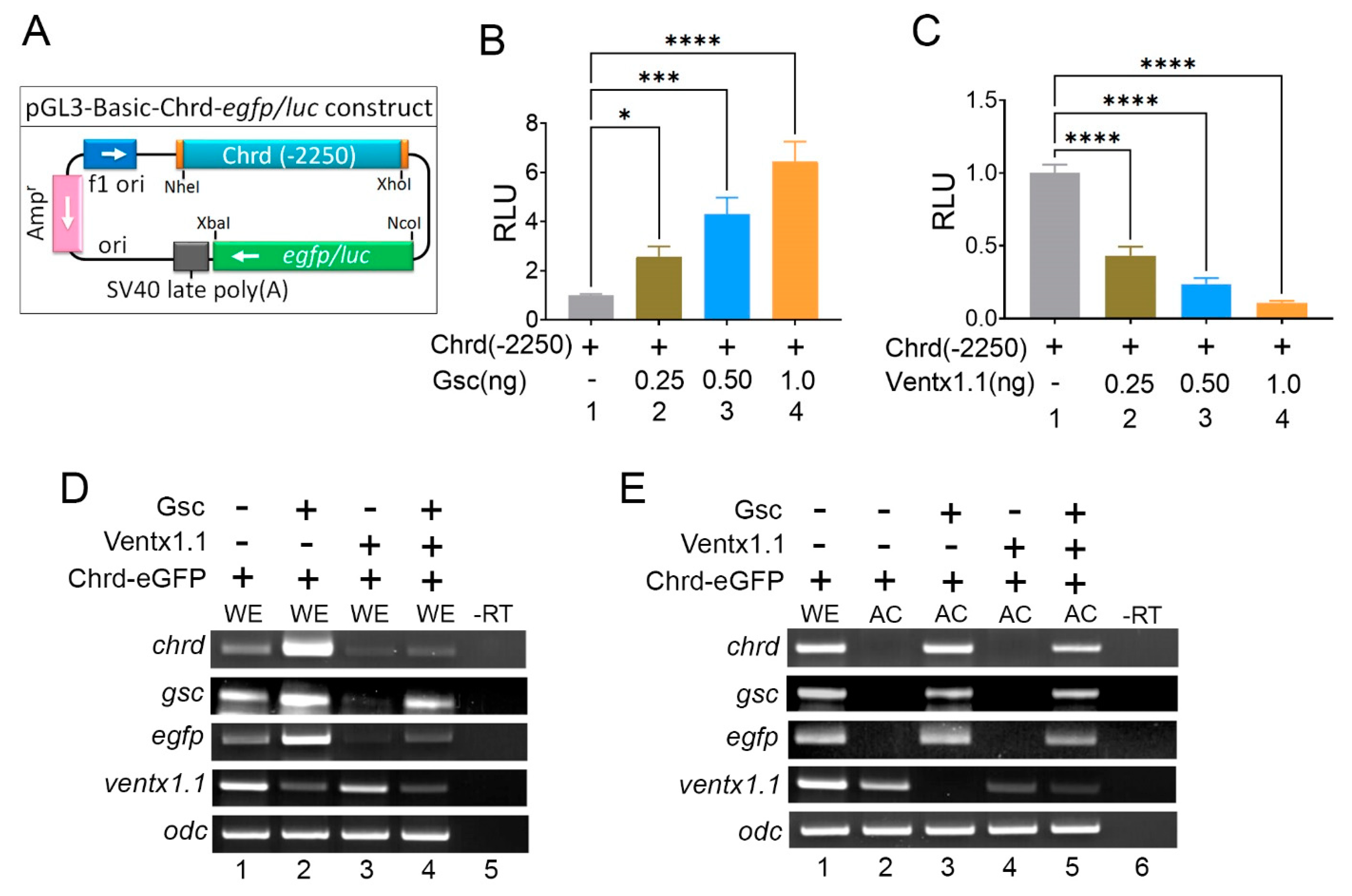 Cells 12 00874 g001 Cells 12 00874 g001