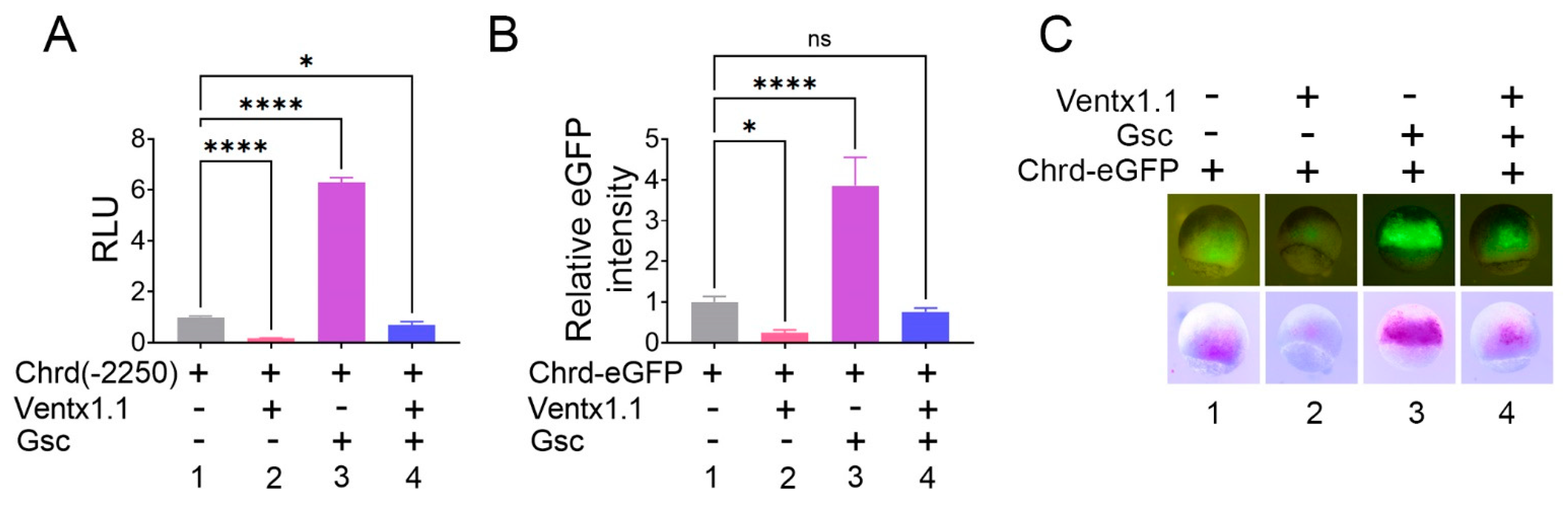 Cells 12 00874 g002 Cells 12 00874 g002
