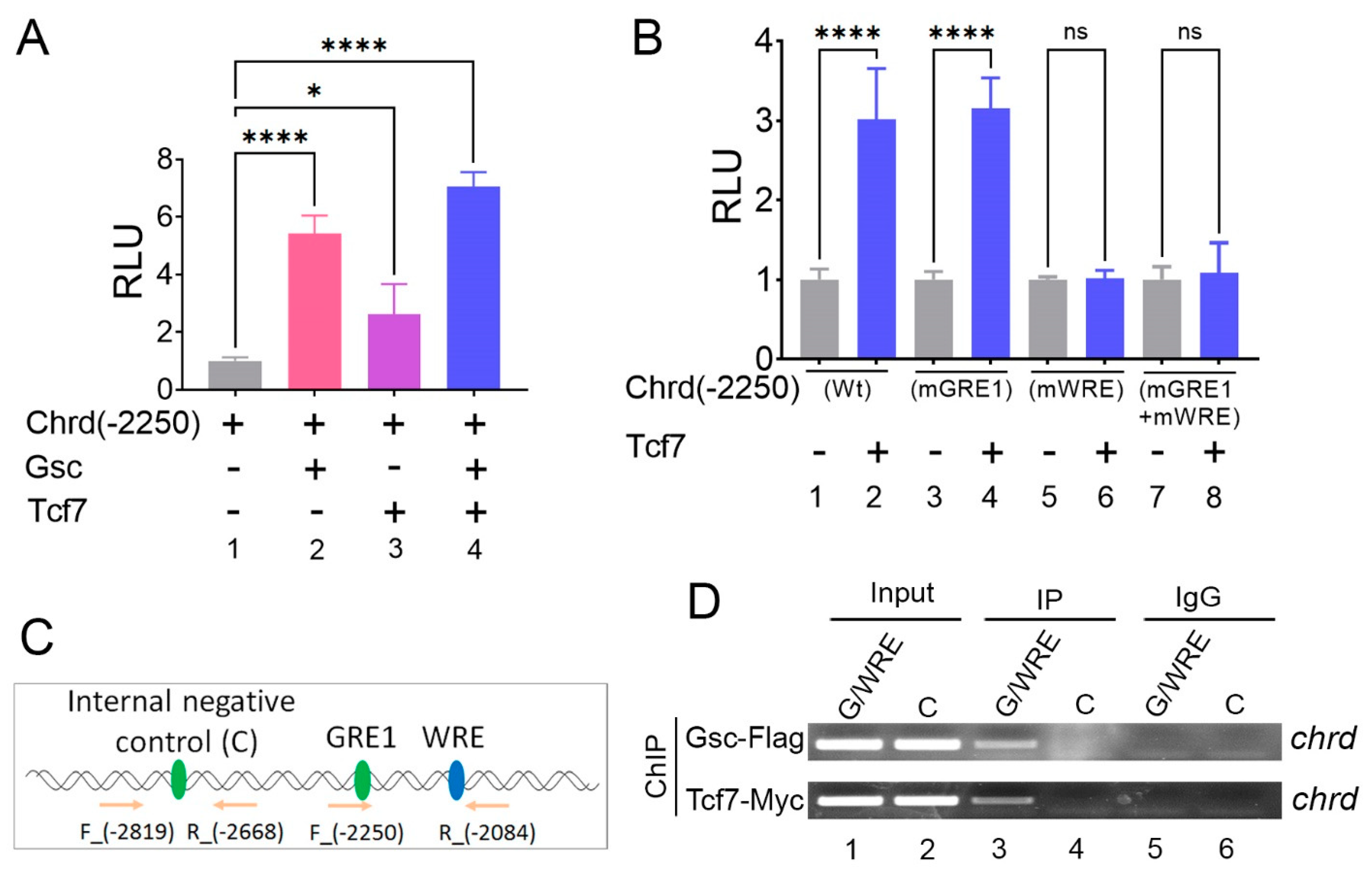 Cells 12 00874 g005 Cells 12 00874 g005