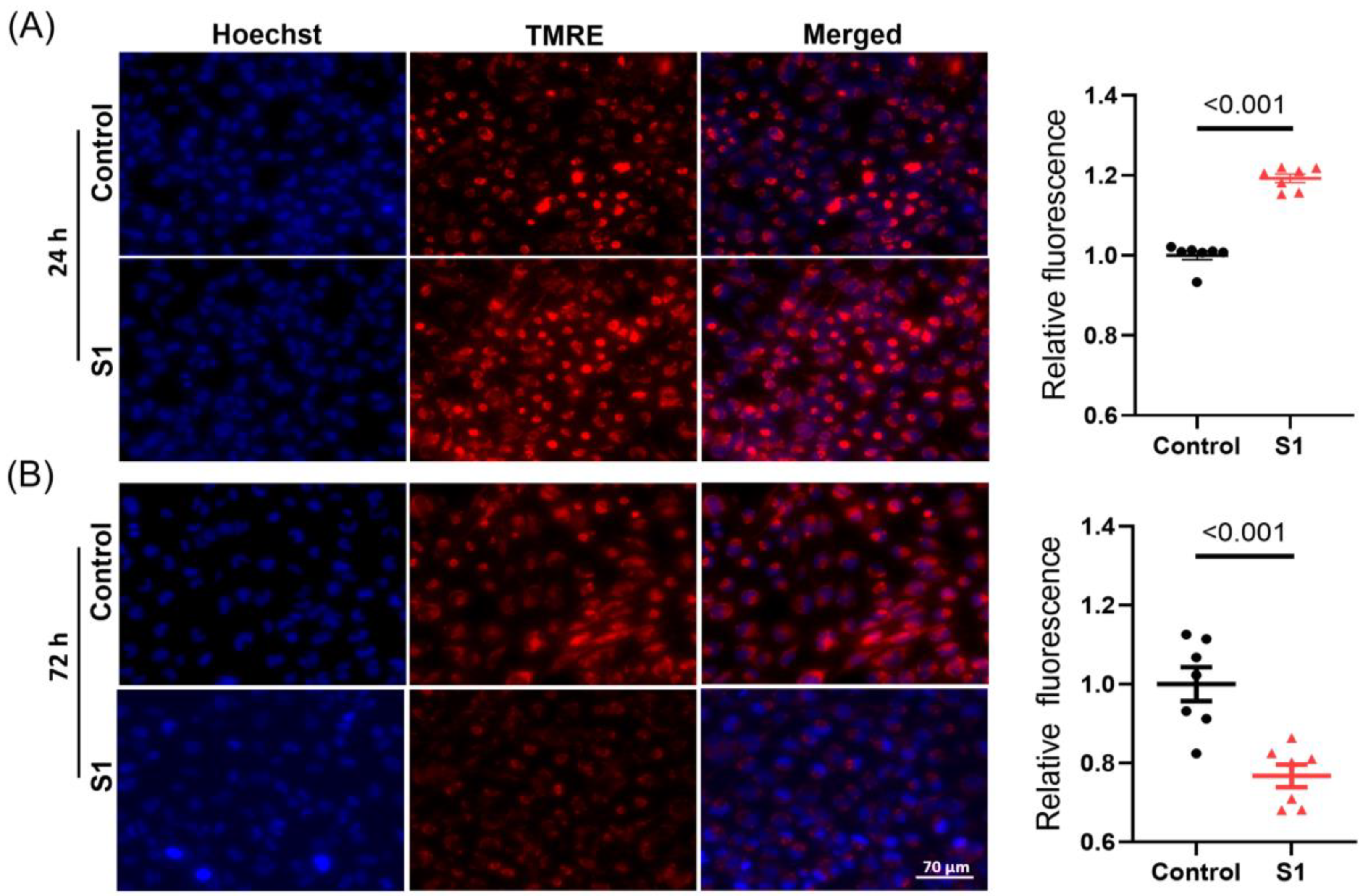 Cells 12 00877 g002 Cells 12 00877 g002