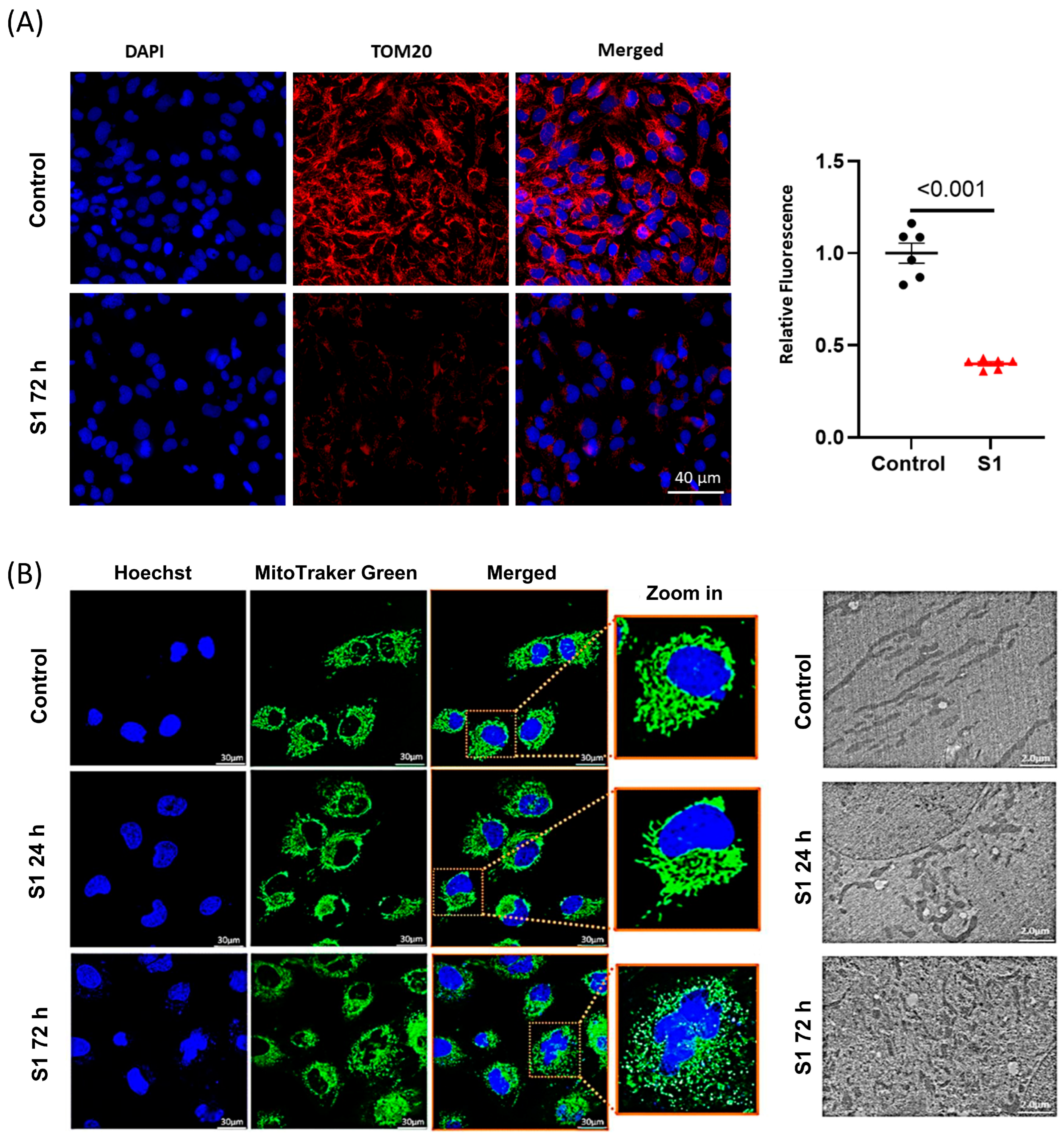 Cells 12 00877 g004 Cells 12 00877 g004