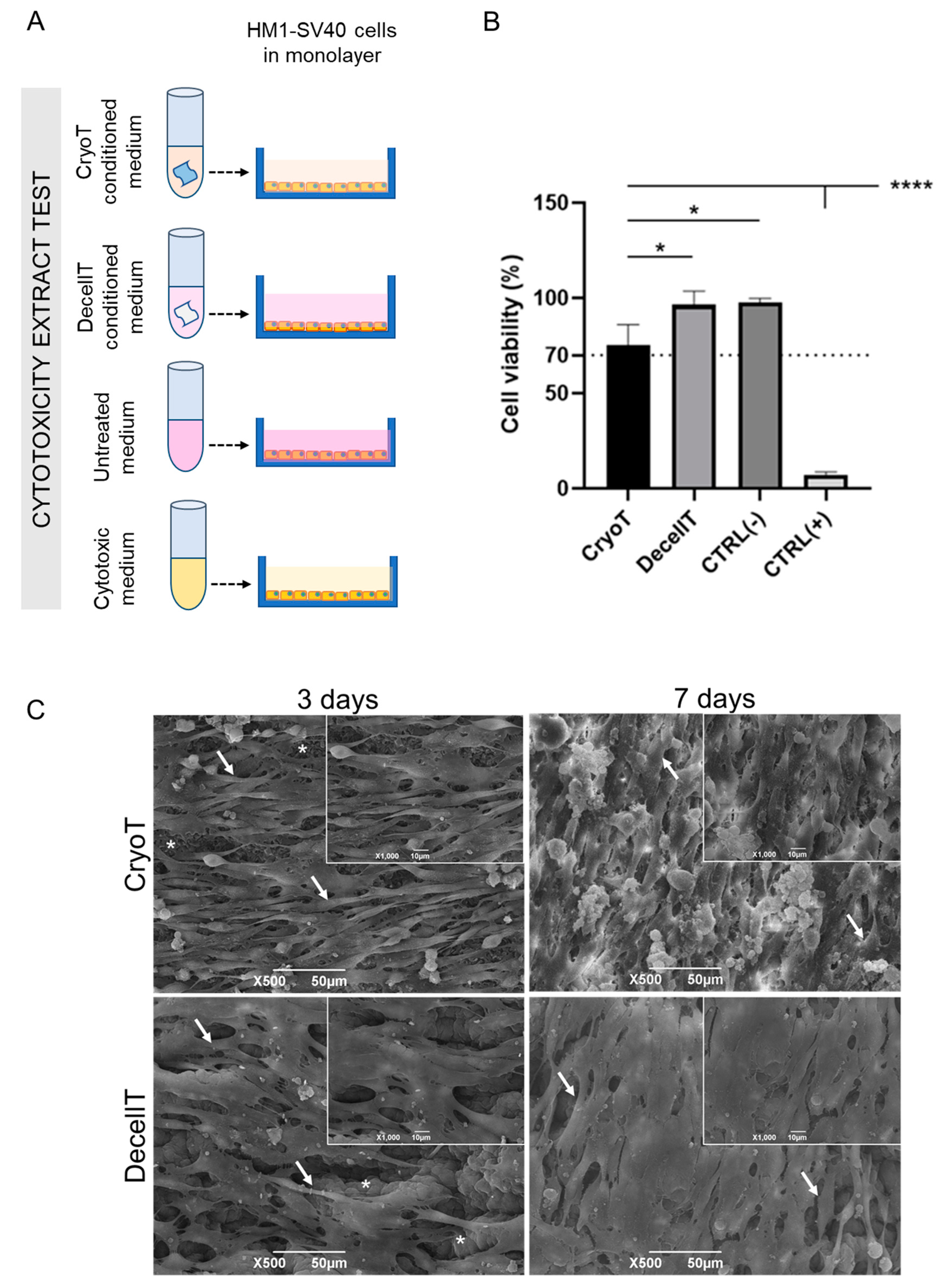 Cells 12 00888 g012 Cells 12 00888 g012