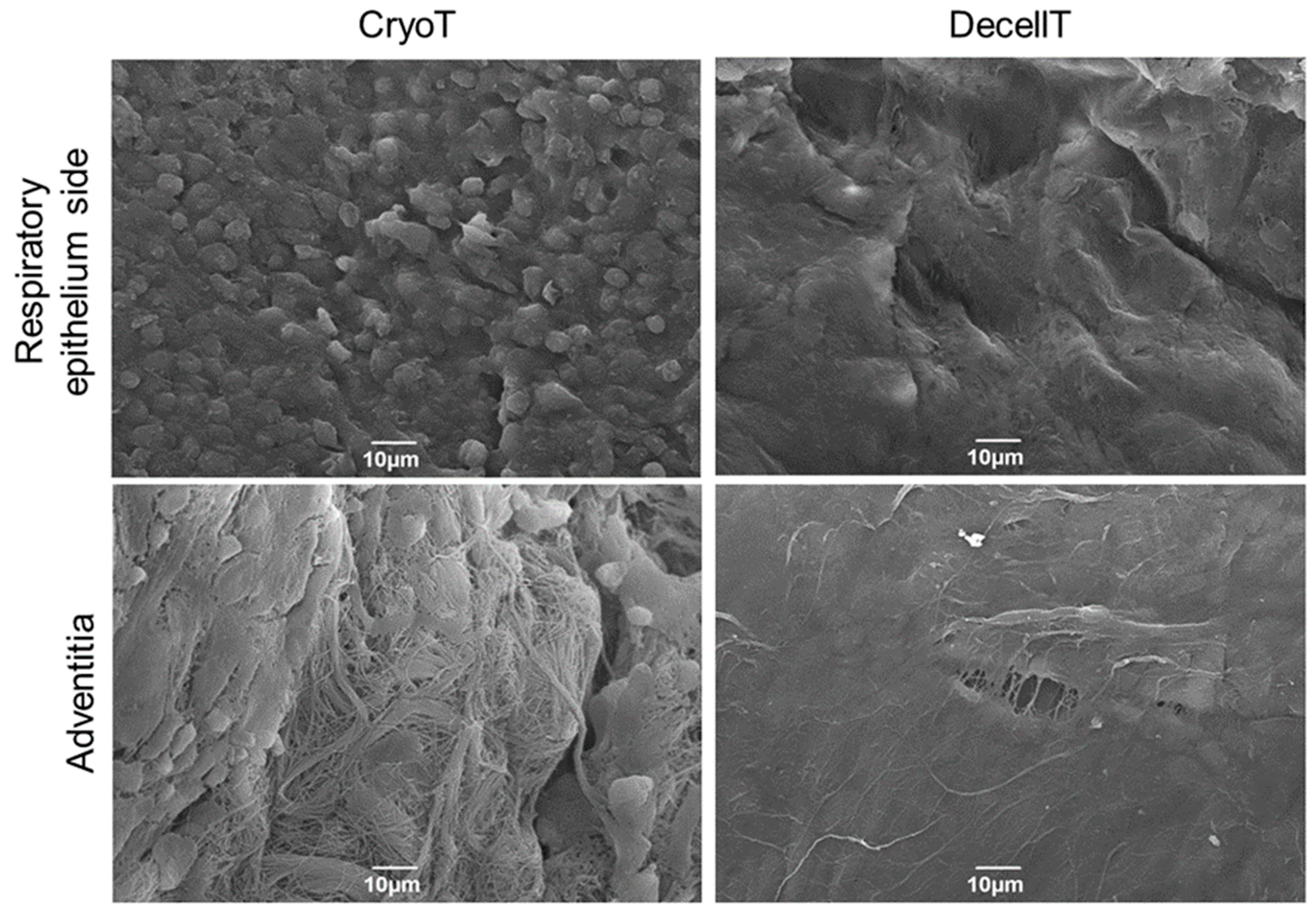 Cells 12 00888 g017 Cells 12 00888 g017