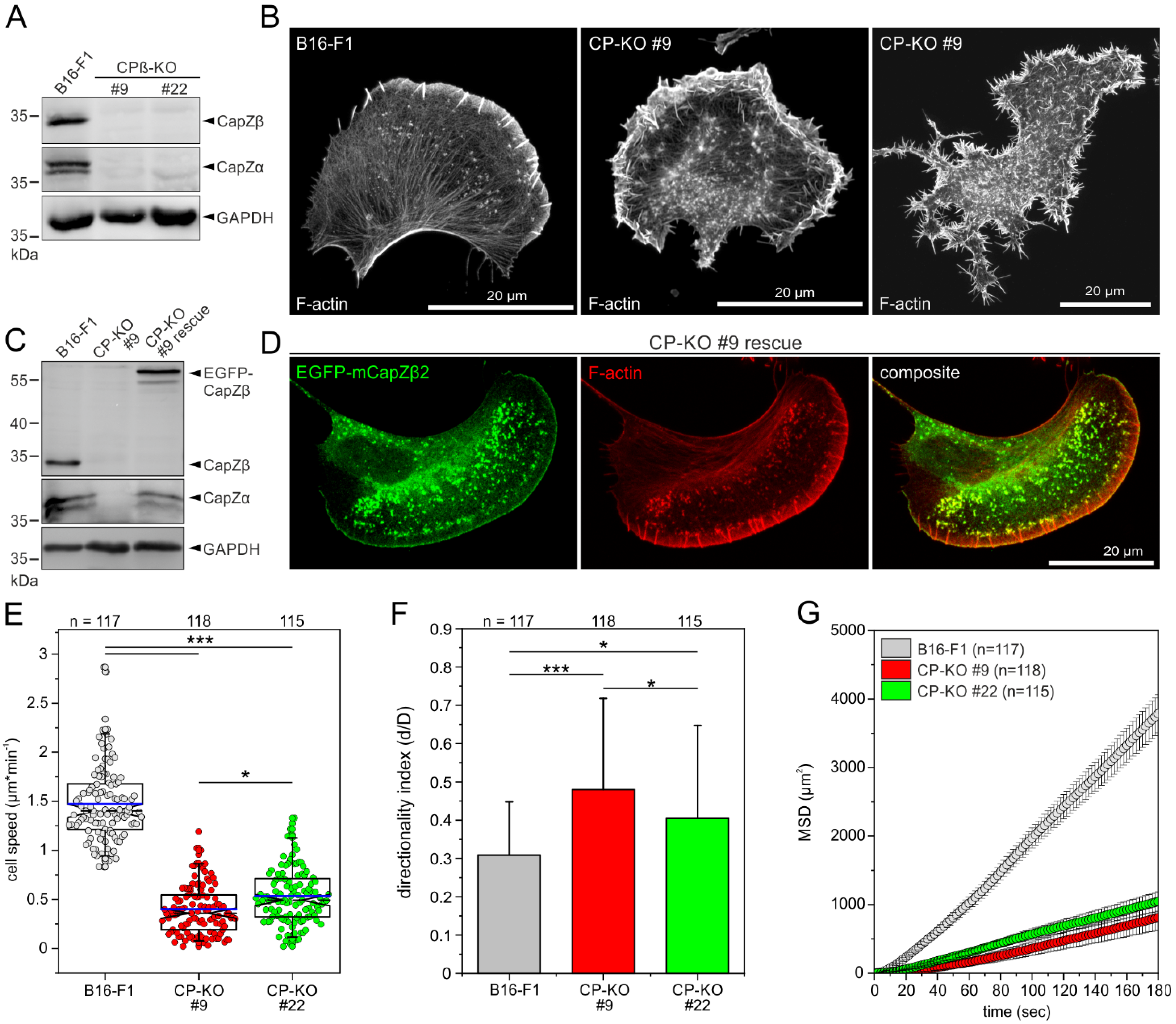 Cells 12 00890 g001 Cells 12 00890 g001
