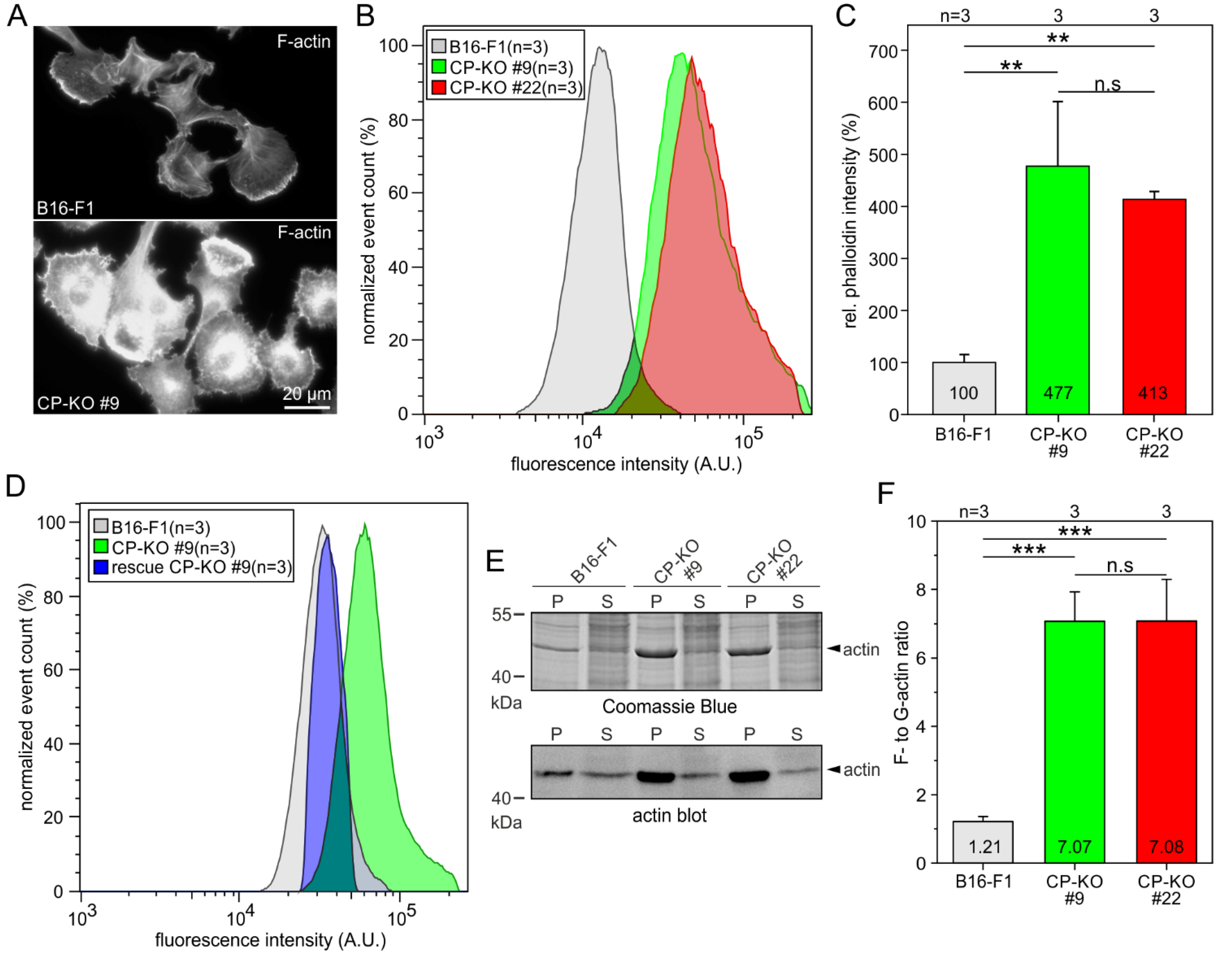 Cells 12 00890 g002 Cells 12 00890 g002