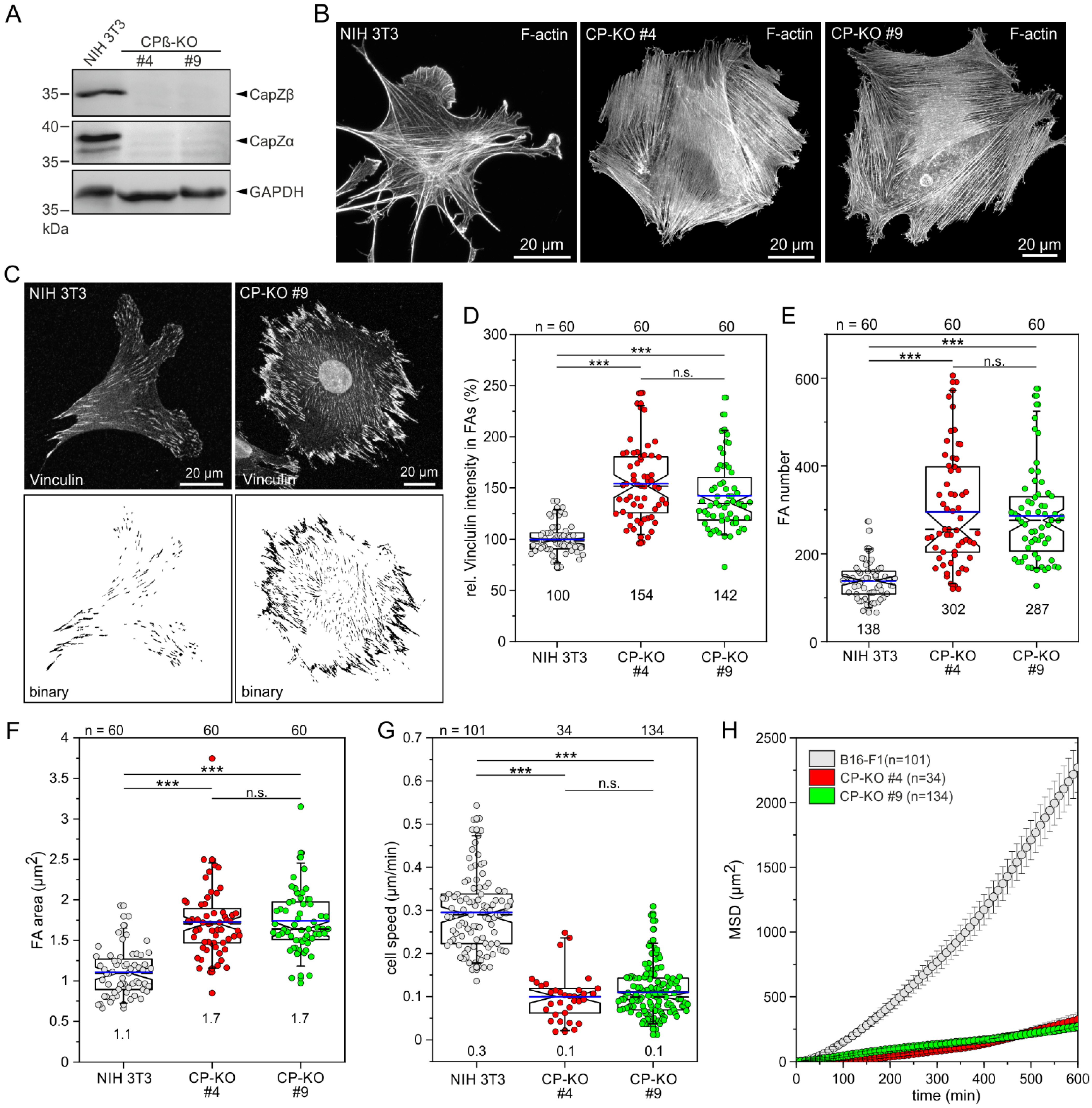 Cells 12 00890 g003 Cells 12 00890 g003