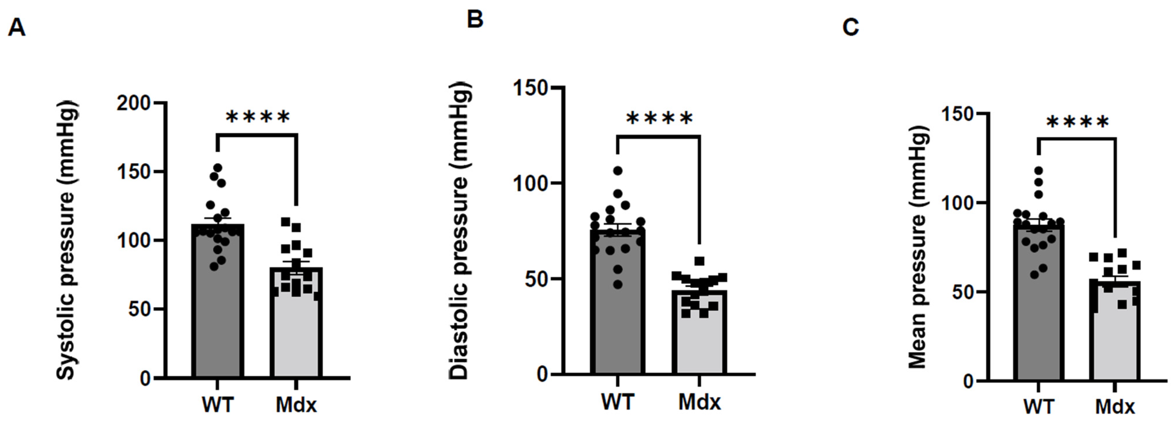 Cells 12 00892 g002 Cells 12 00892 g002