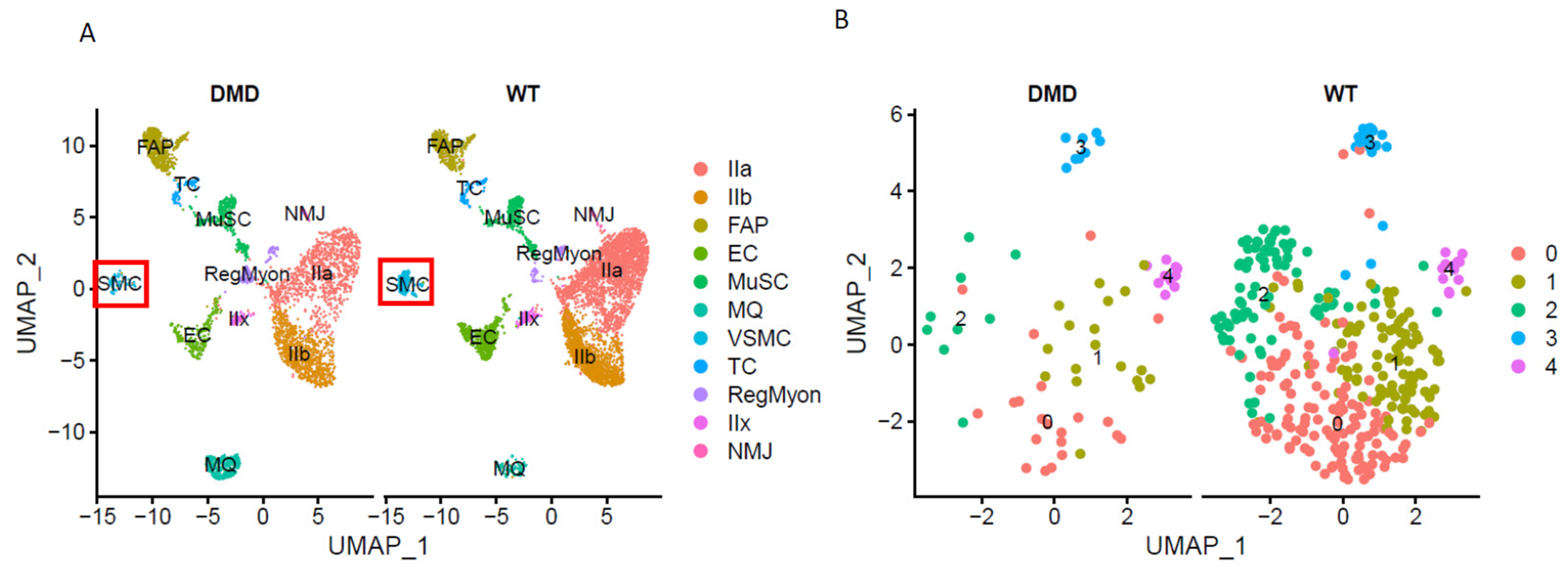 Cells 12 00892 g003 Cells 12 00892 g003