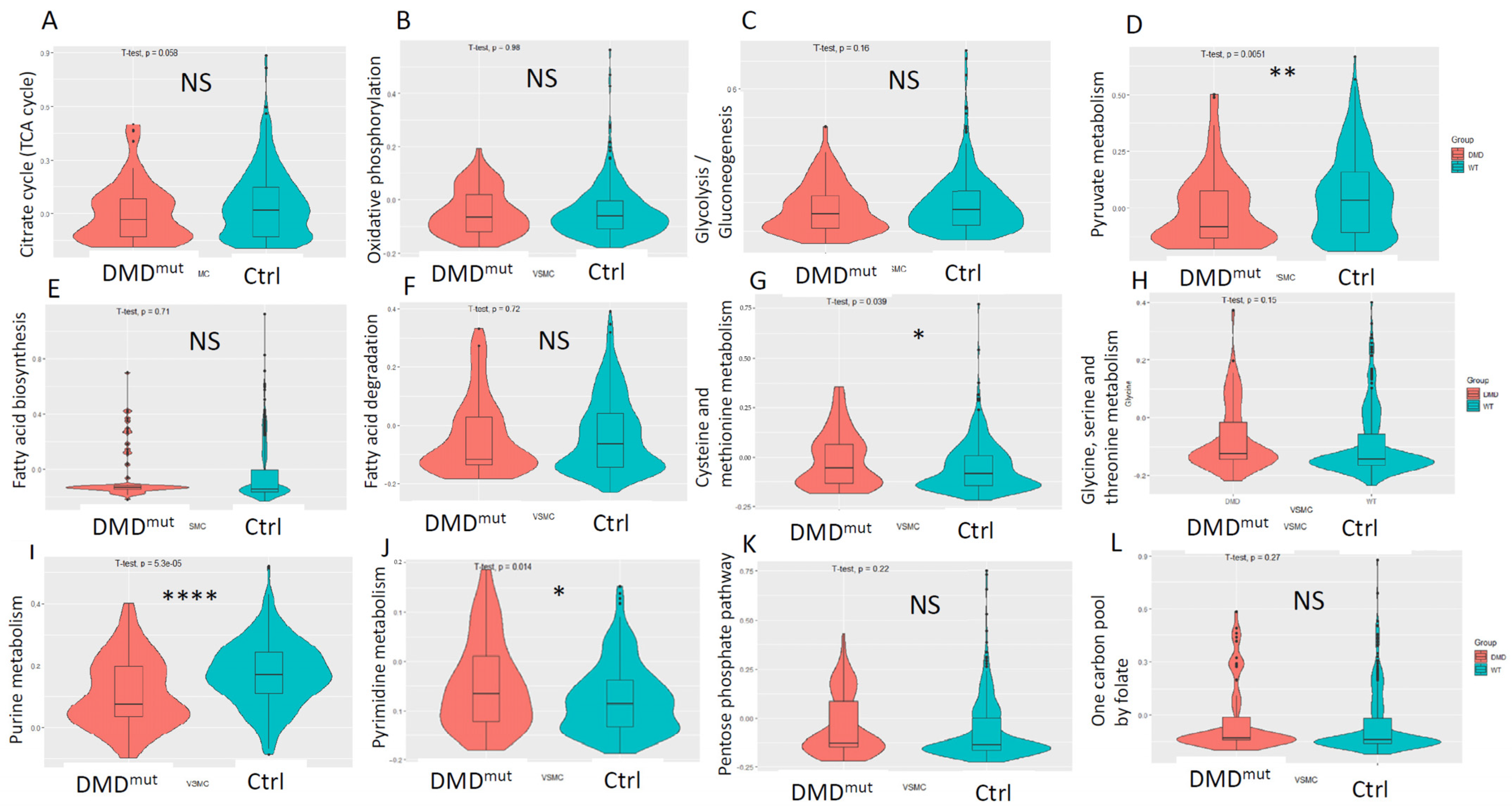 Cells 12 00892 g005 Cells 12 00892 g005