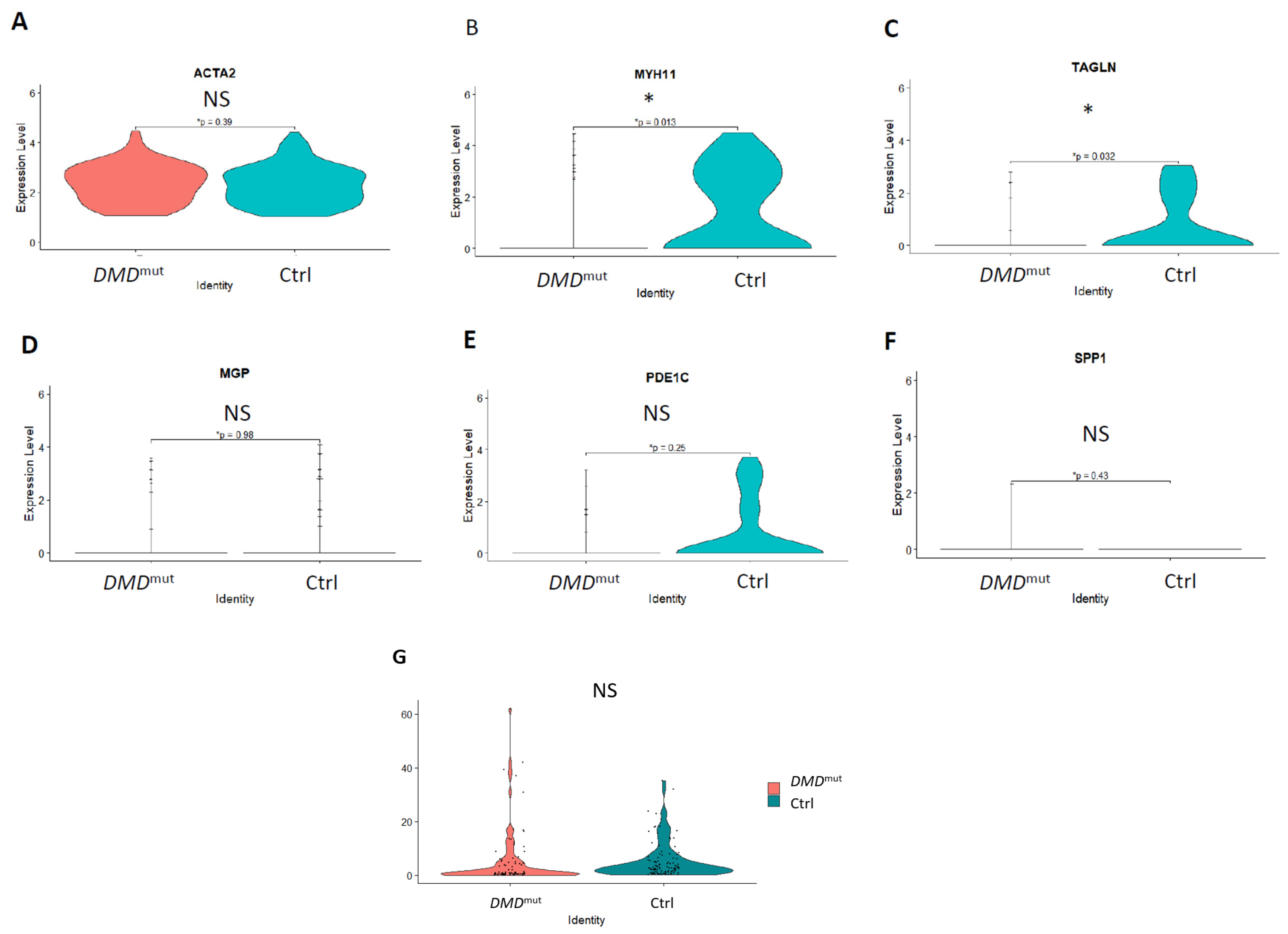 Cells 12 00892 g006 Cells 12 00892 g006