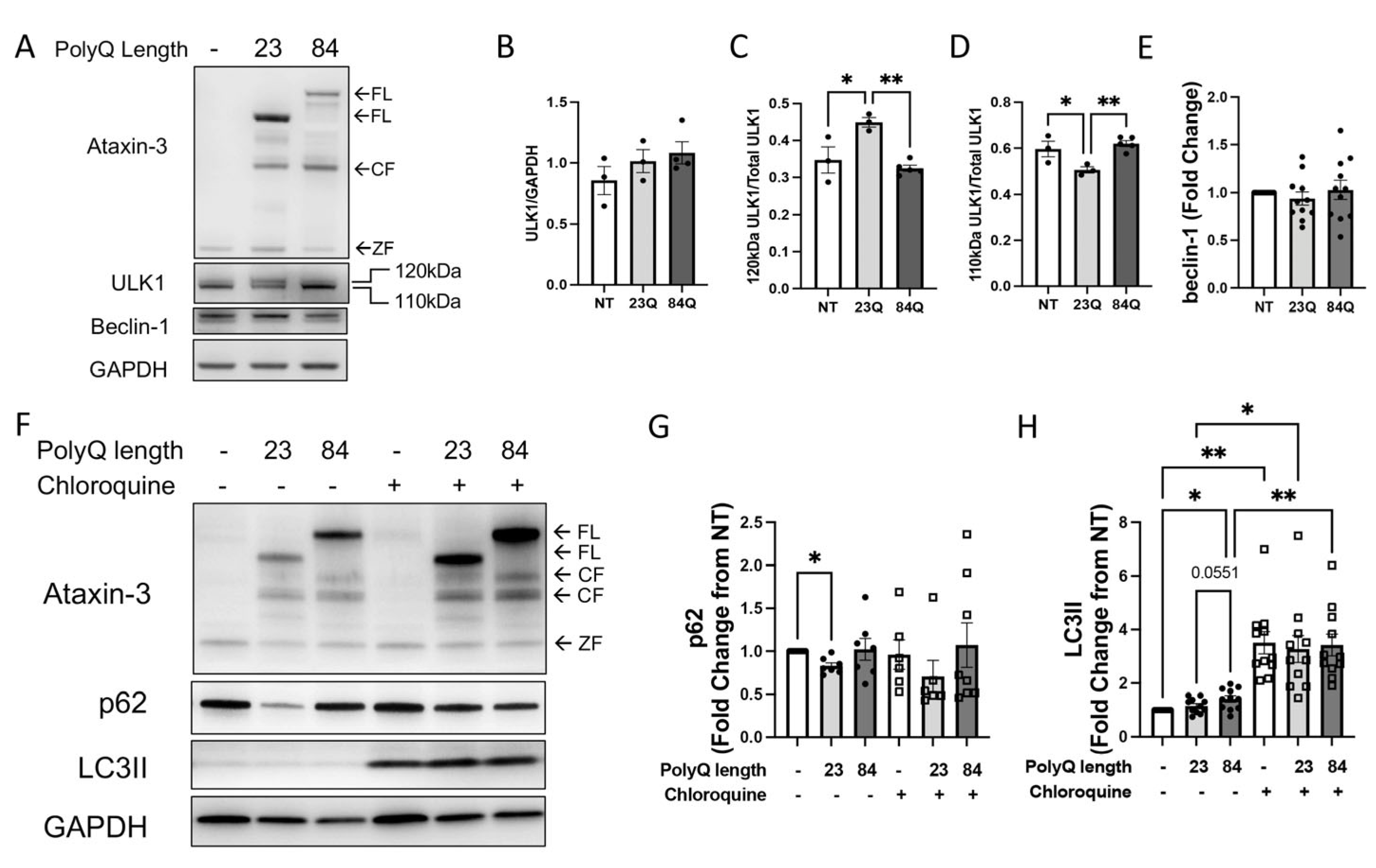 Cells 12 00893 g002
