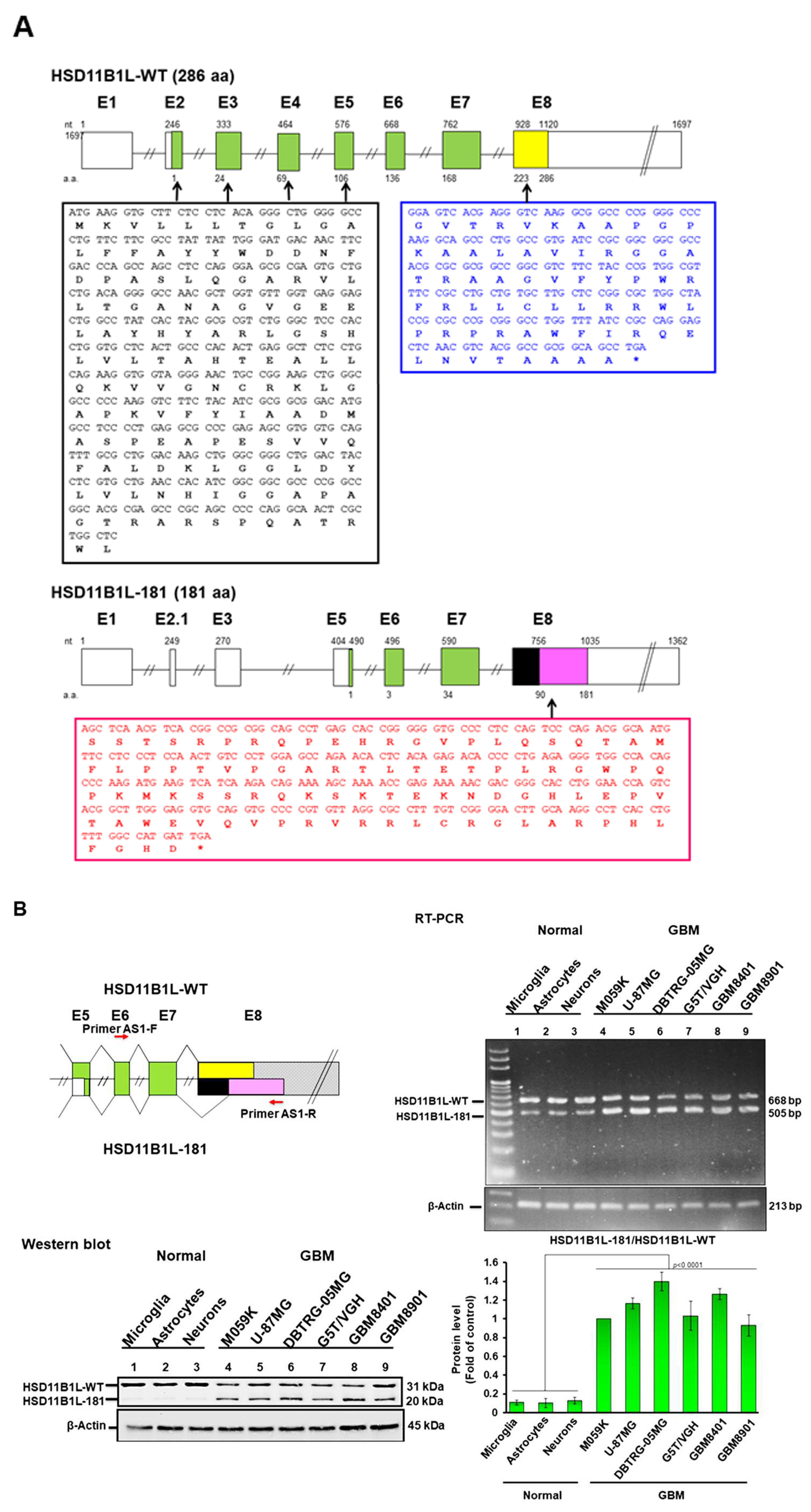 Cells 12 00894 g001a