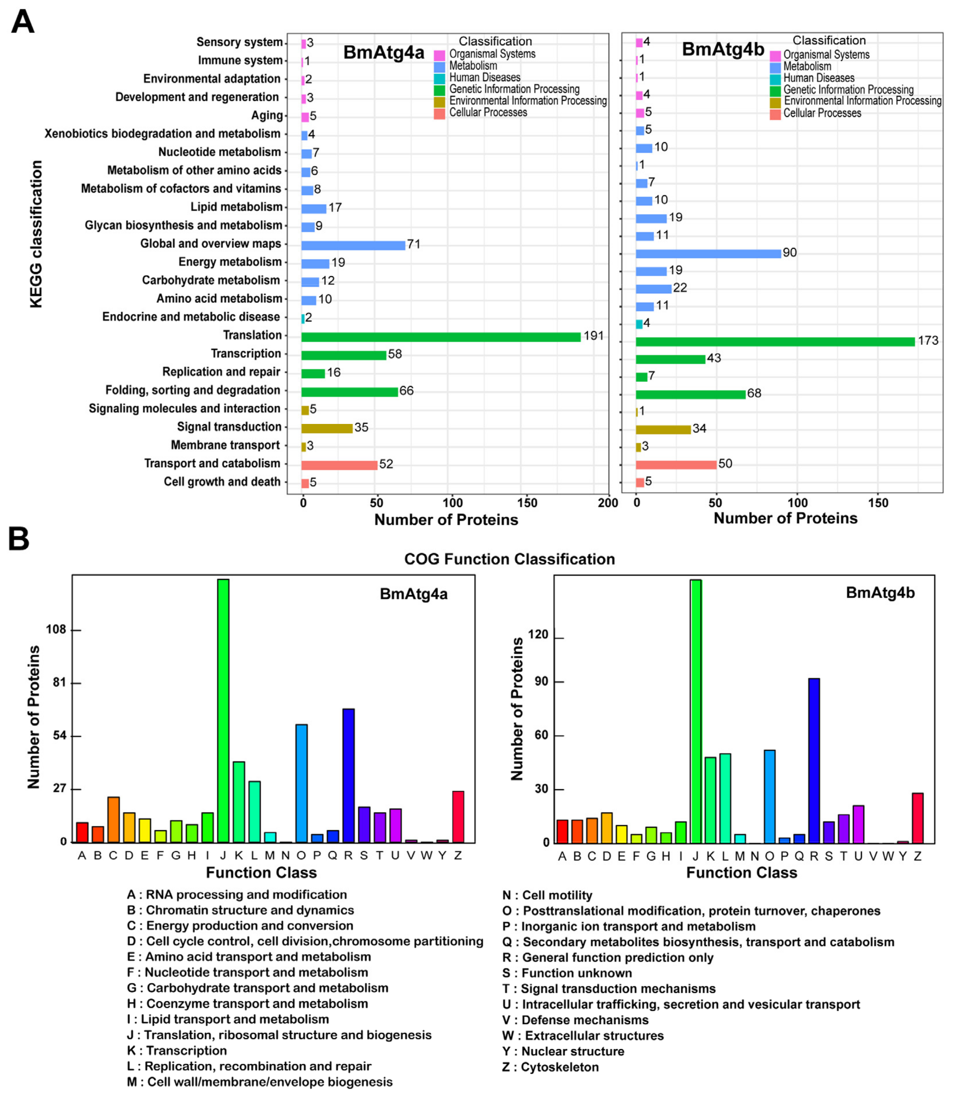 Cells 12 00899 g005 Cells 12 00899 g005