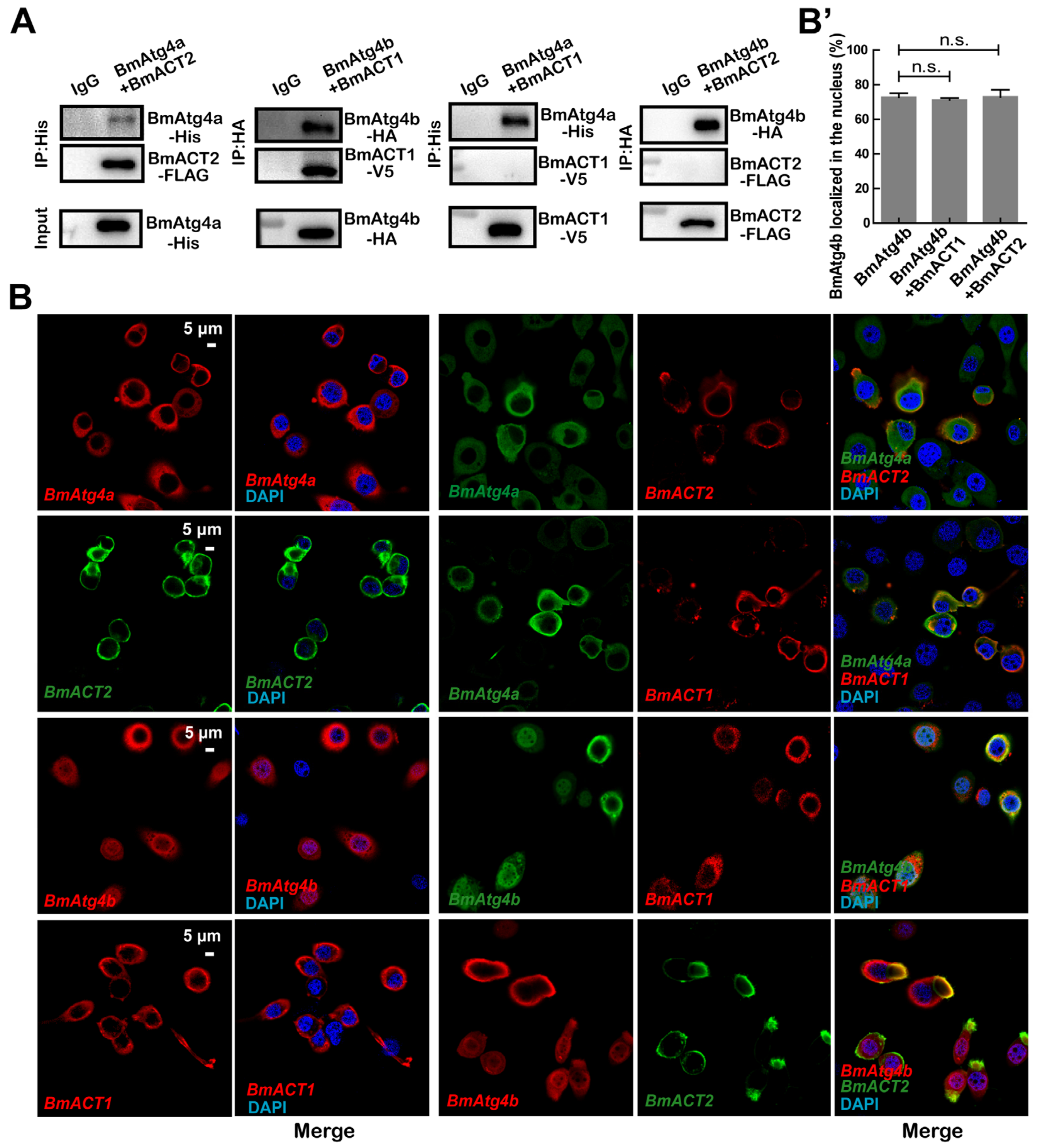 Cells 12 00899 g006 Cells 12 00899 g006