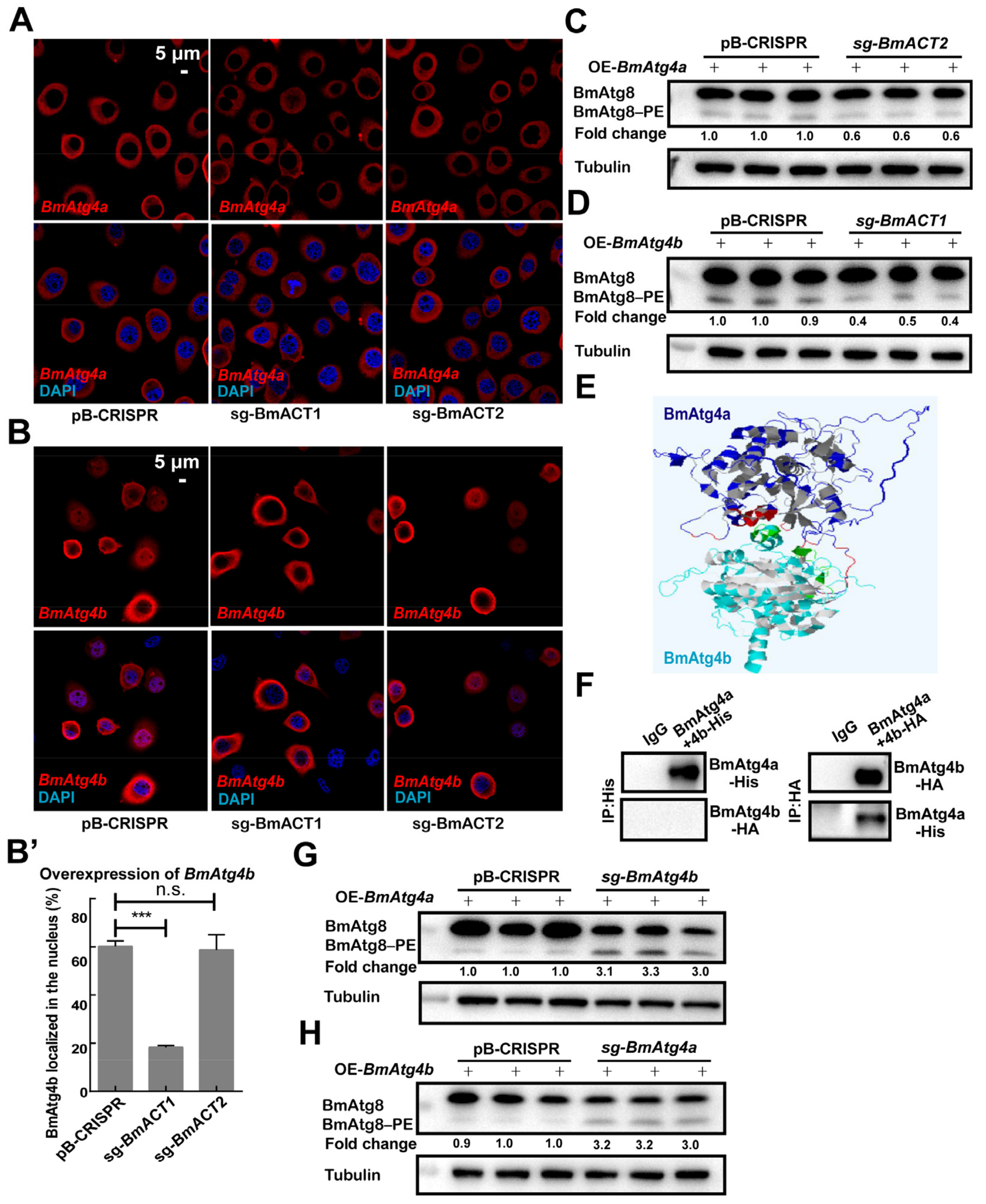 Cells 12 00899 g007 Cells 12 00899 g007