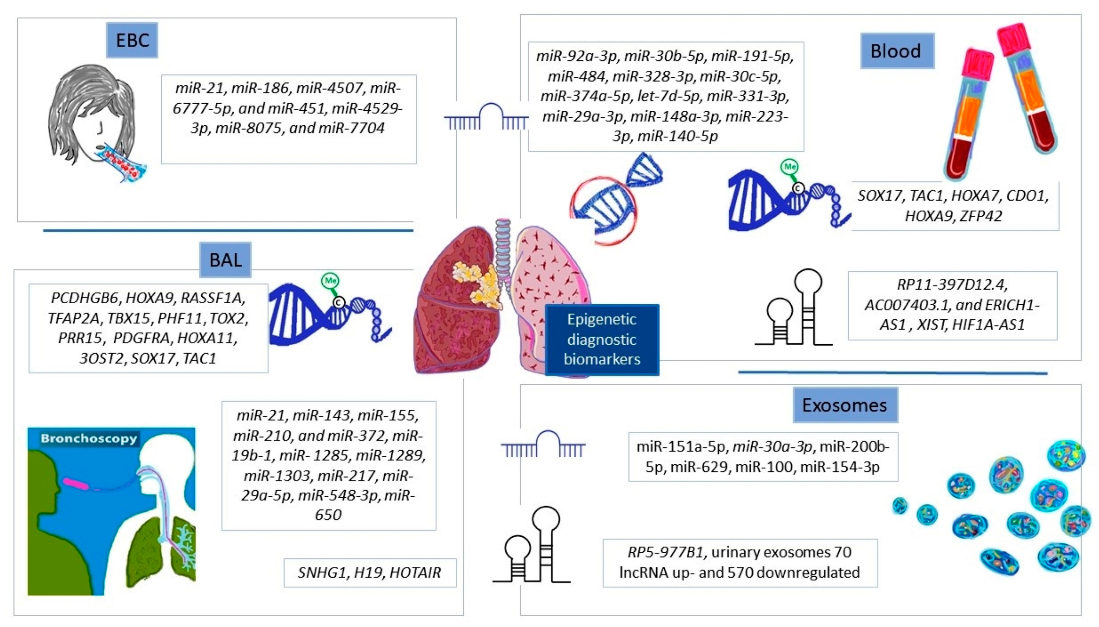 Cells 12 00905 g003 Cells 12 00905 g003