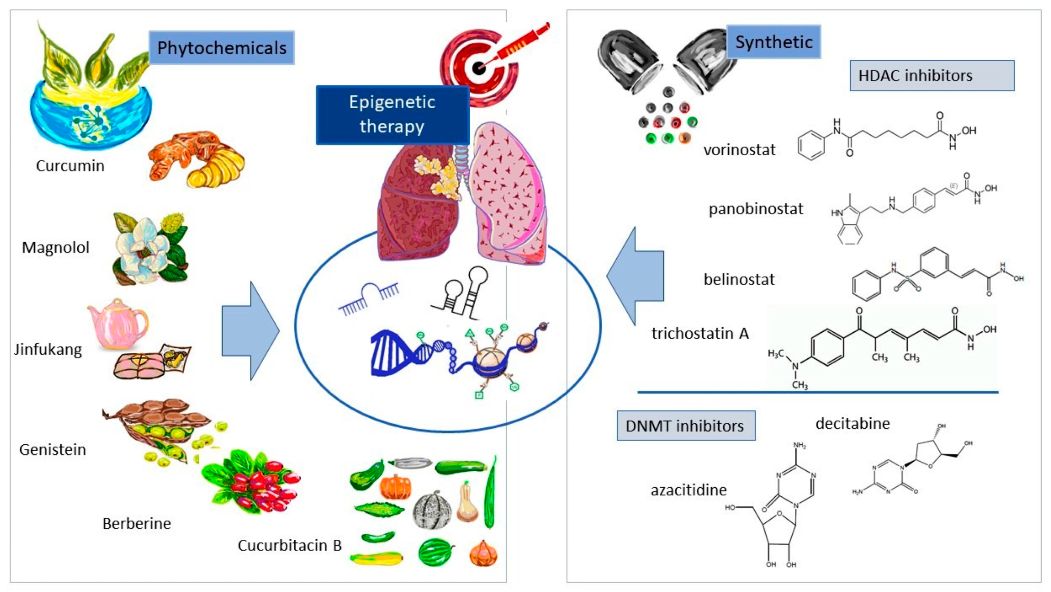 Cells 12 00905 g005 Cells 12 00905 g005