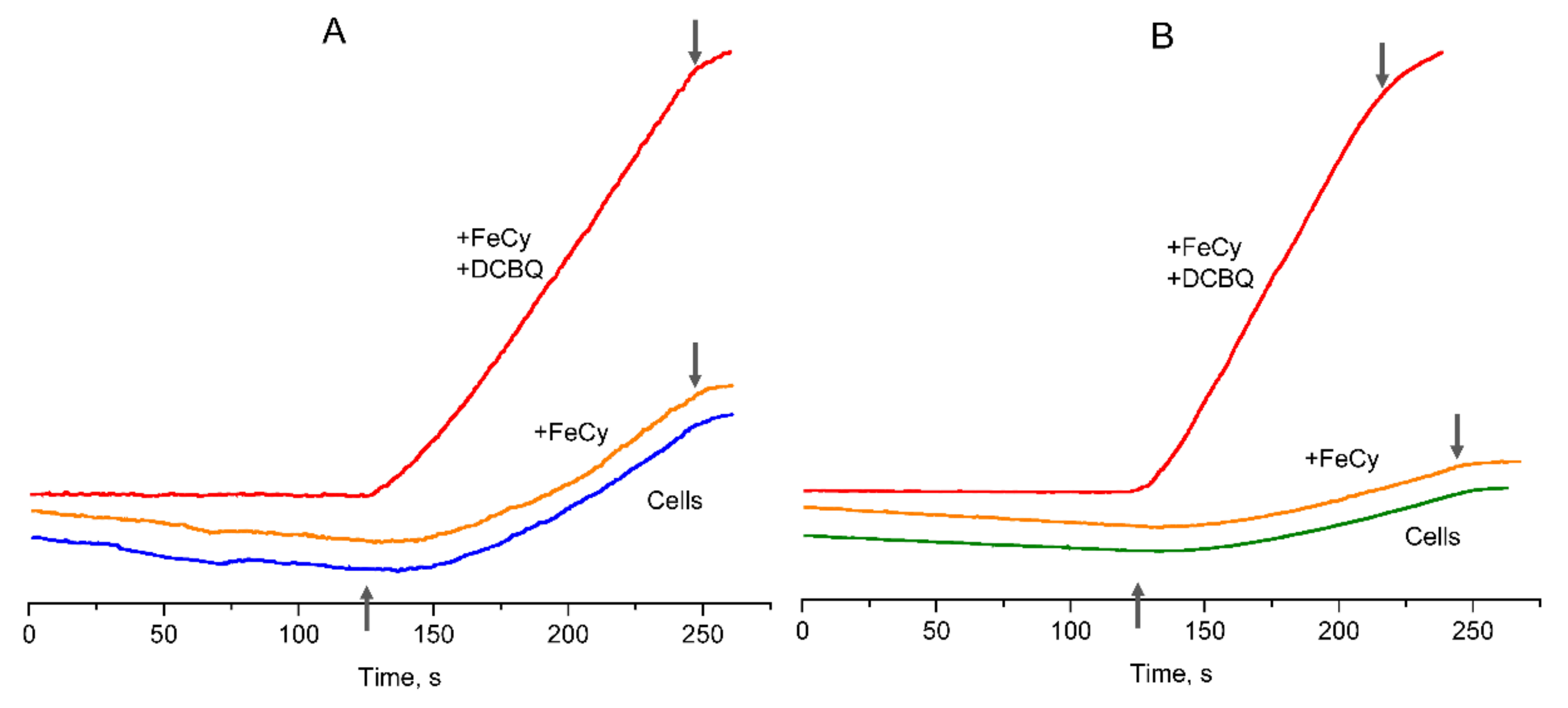 Cells 12 00907 g003 Cells 12 00907 g003