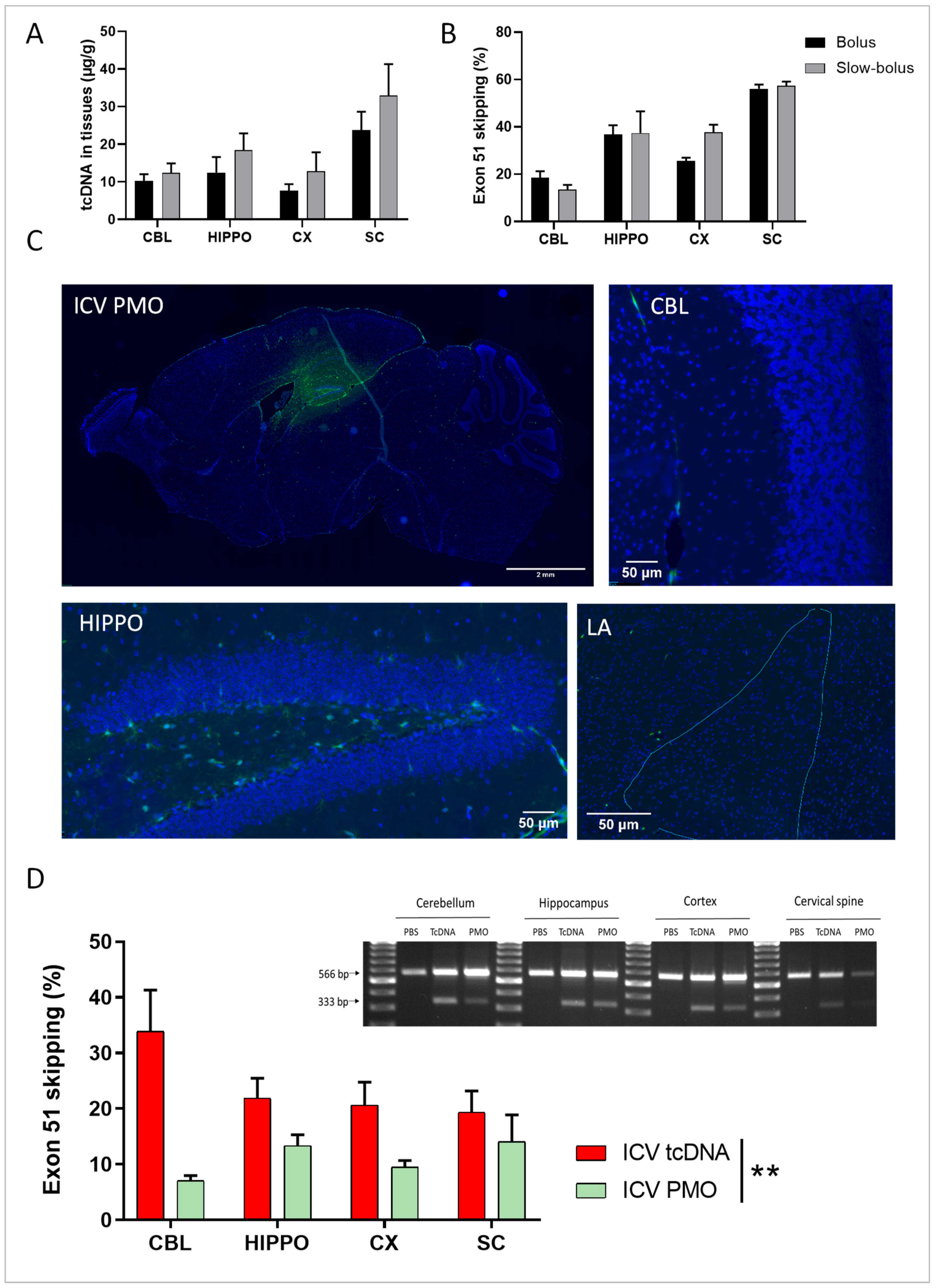 Cells 12 00908 g001 Cells 12 00908 g001