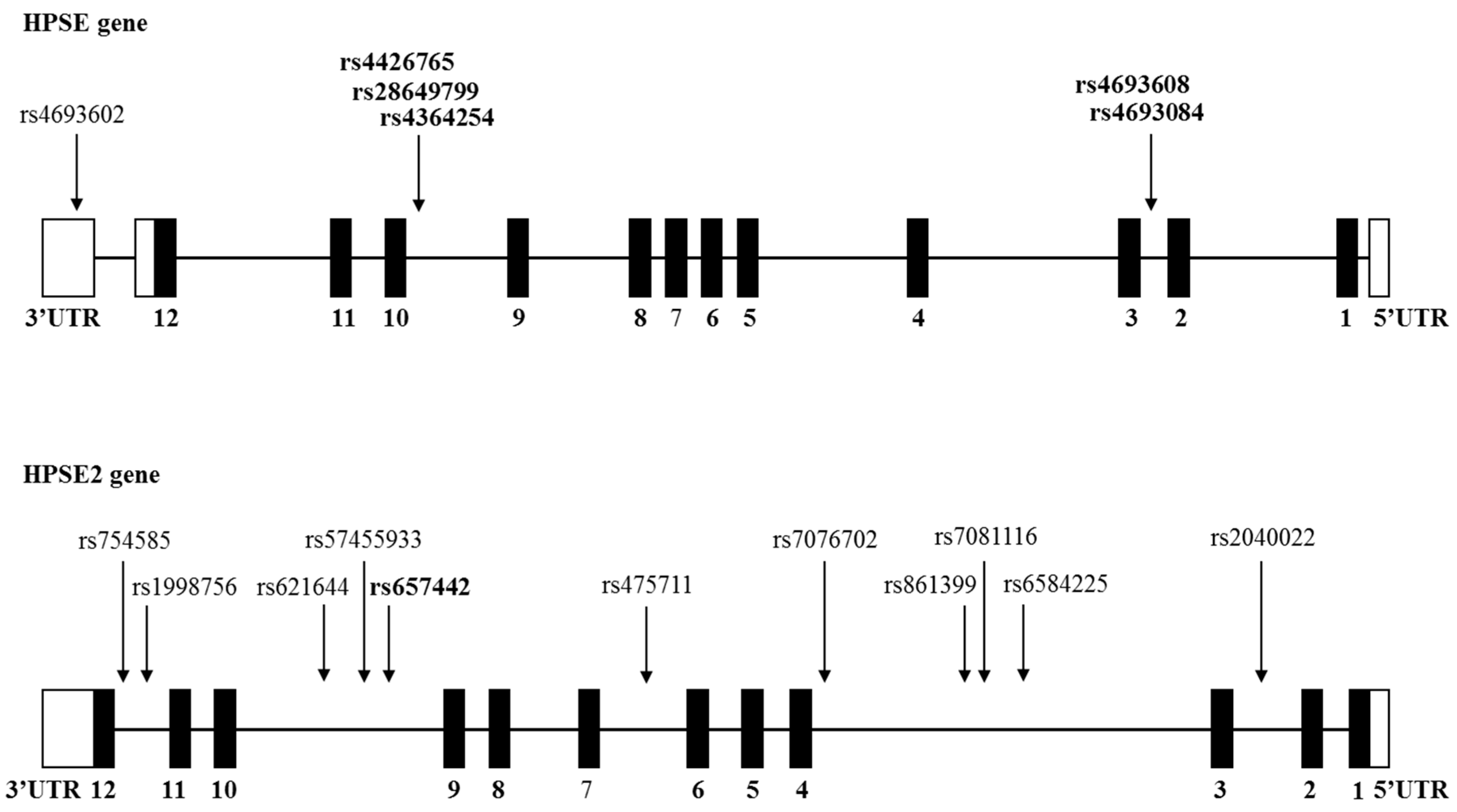 Cells 12 00913 g001 Cells 12 00913 g001