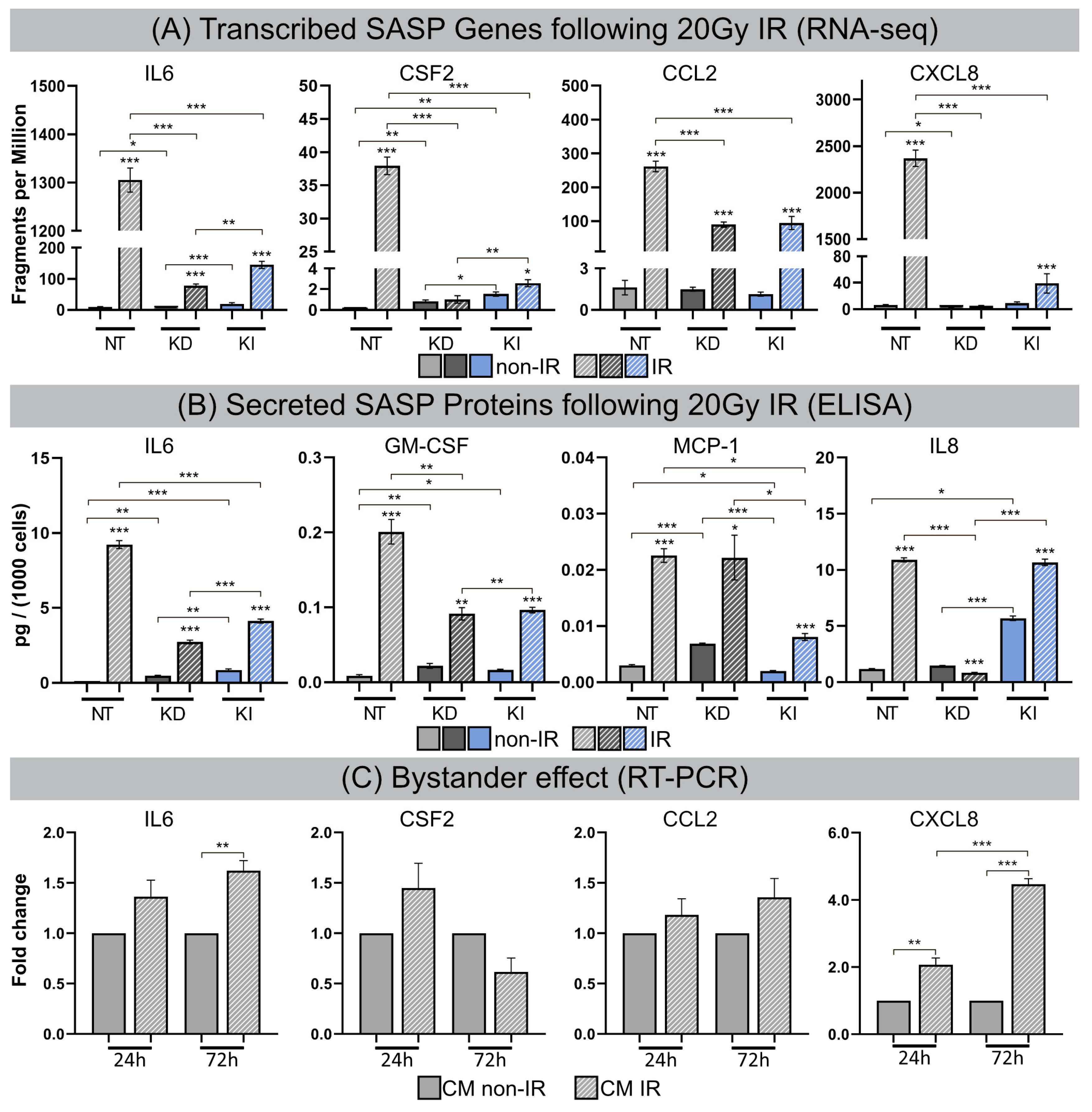 Cells 12 00916 g005 Cells 12 00916 g005