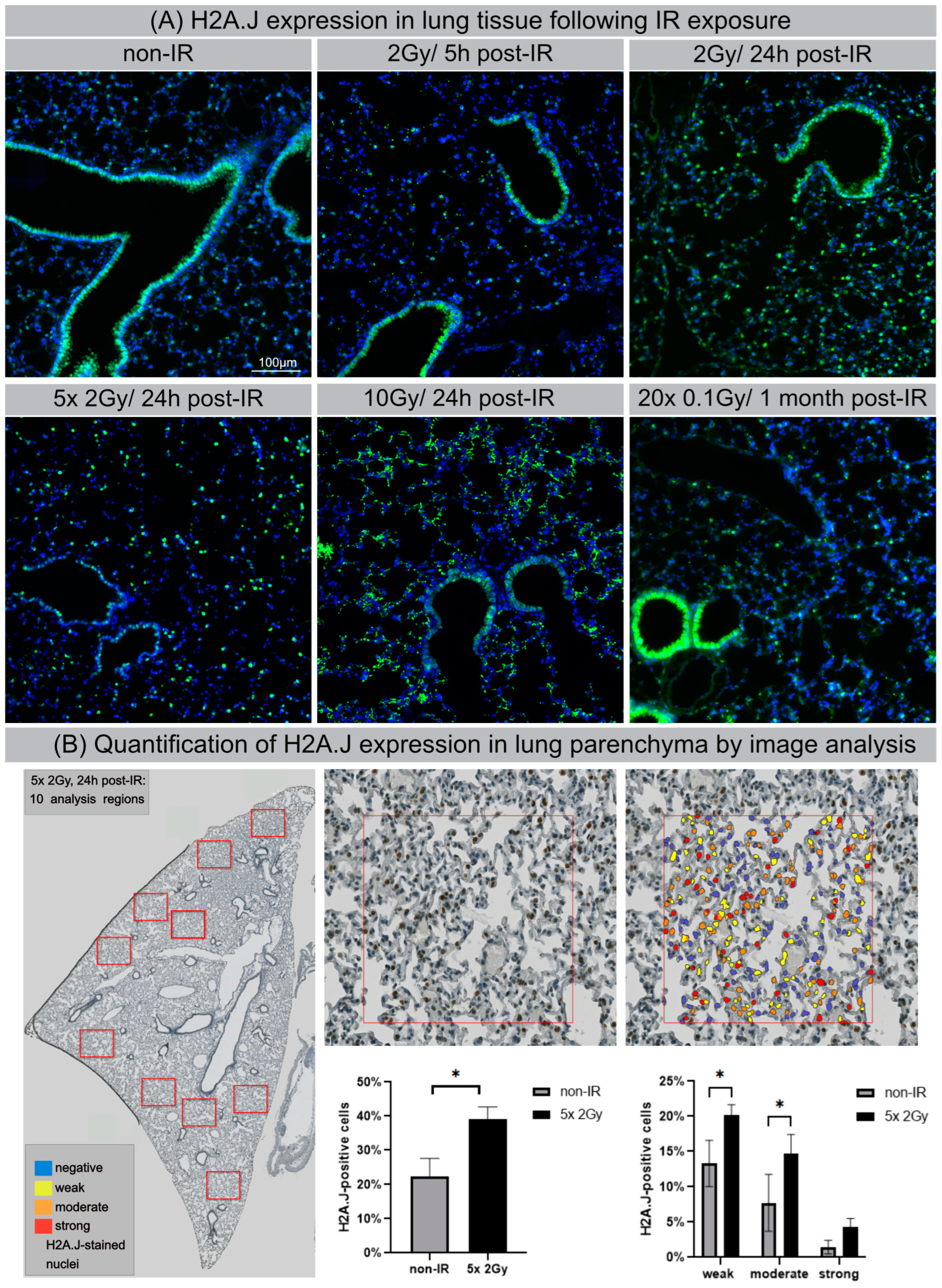 Cells 12 00916 g006 Cells 12 00916 g006