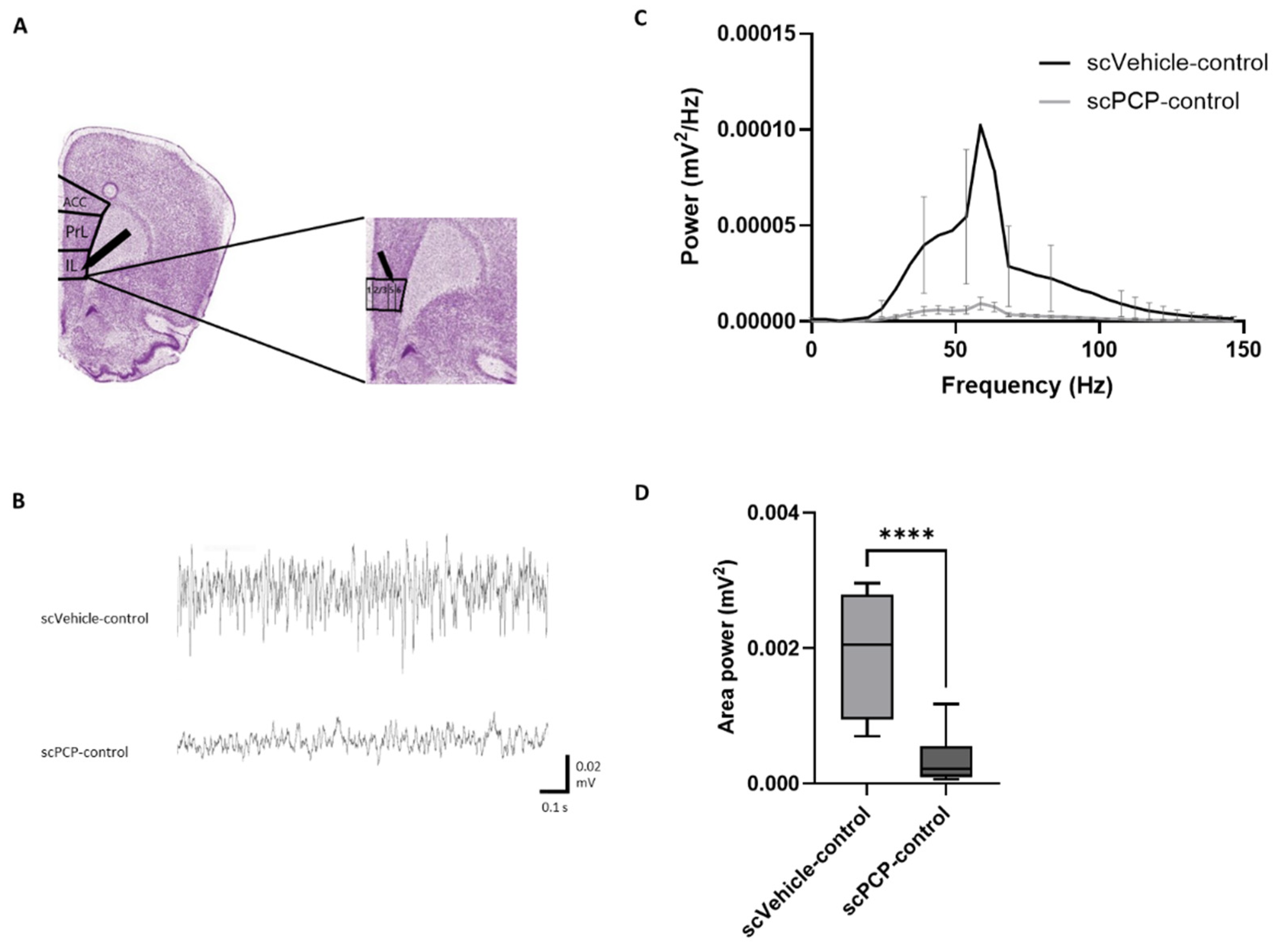 Cells 12 00919 g003 Cells 12 00919 g003