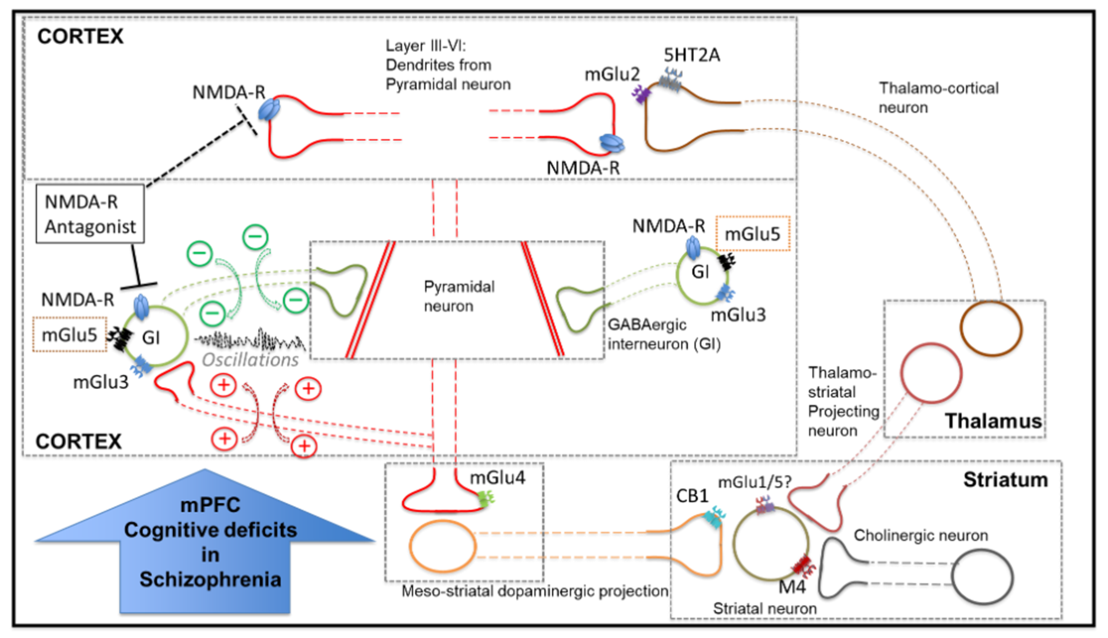 Cells 12 00919 g008 Cells 12 00919 g008