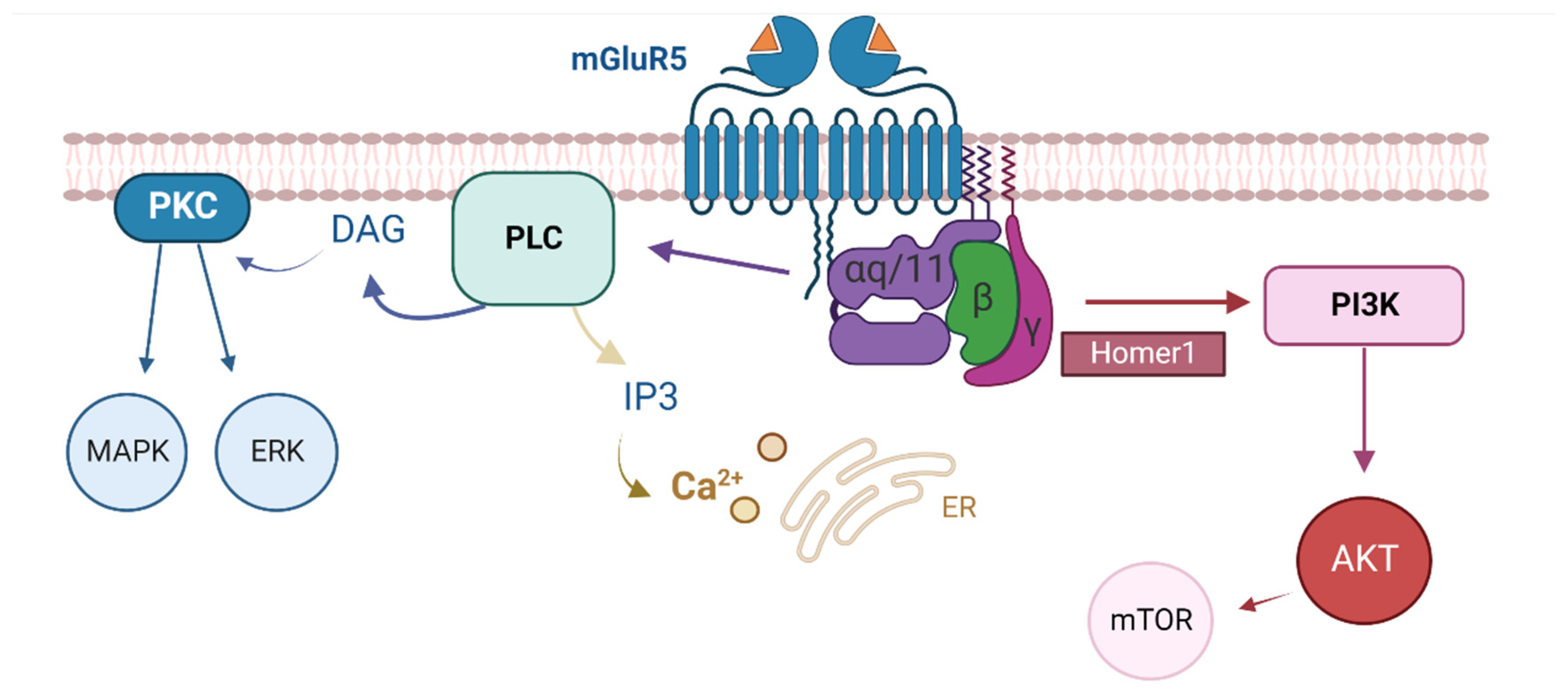 Cells 12 00919 g009 Cells 12 00919 g009