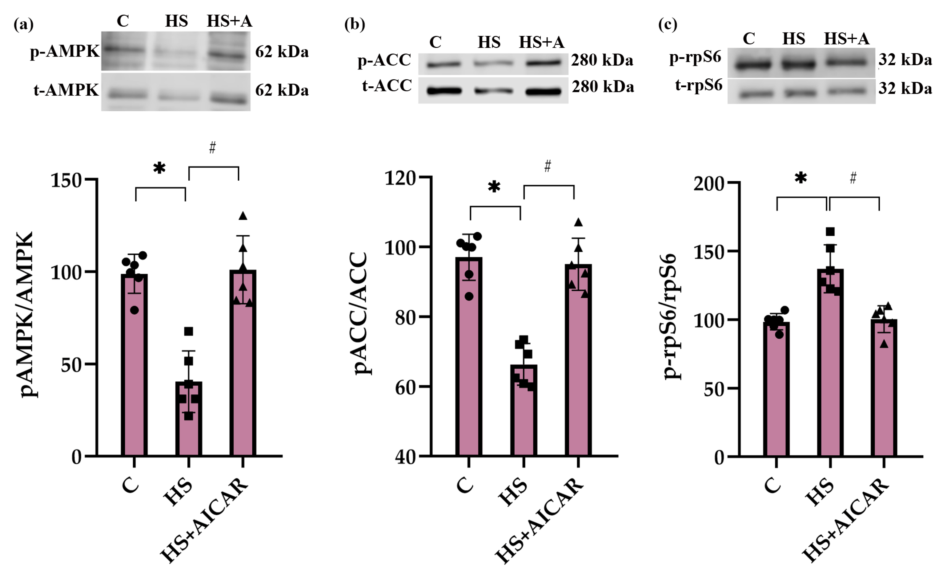 Cells 12 00920 g002 Cells 12 00920 g002